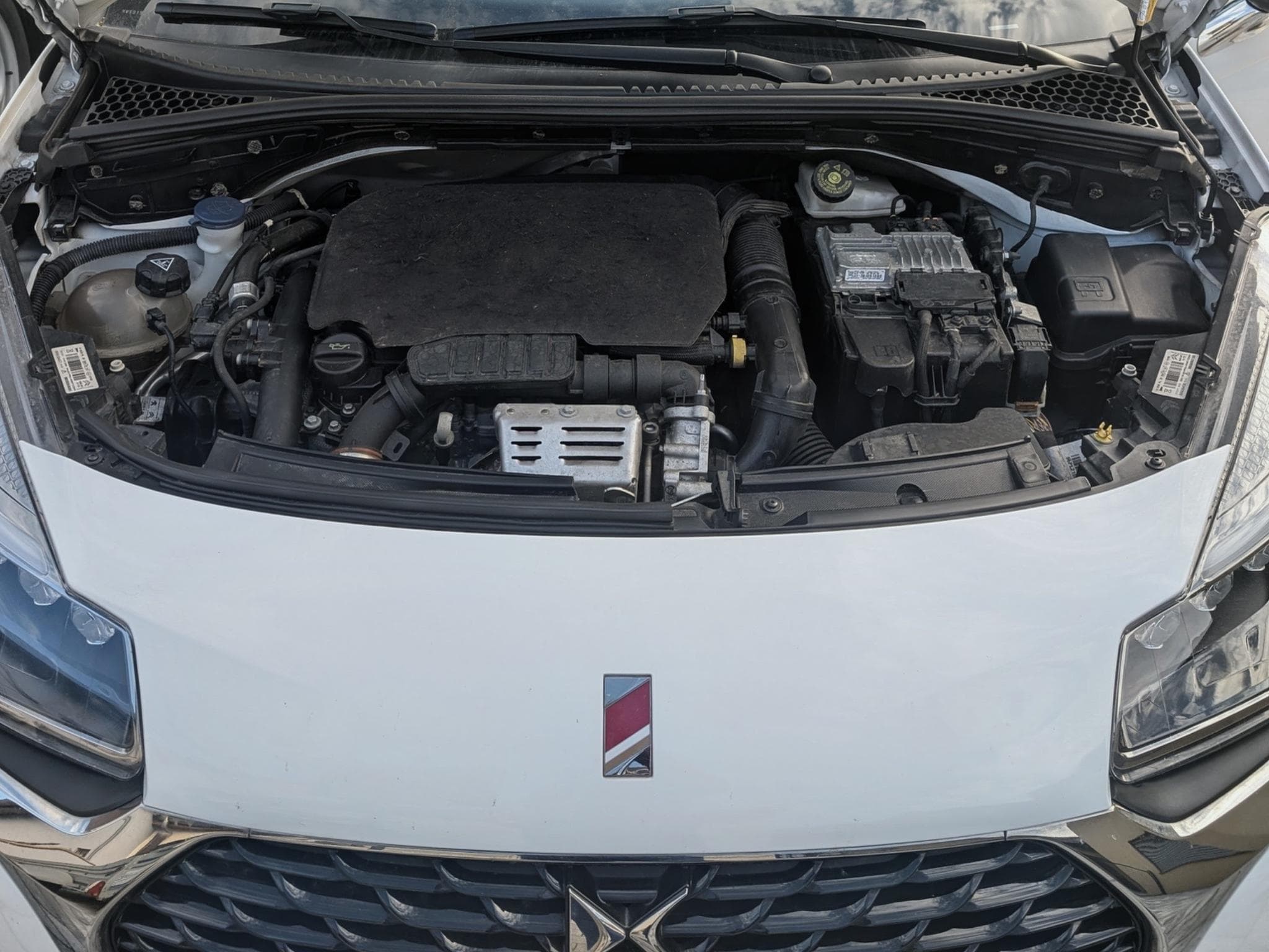 DS Automobiles DS3 Performance Line (2018) - Photo 3