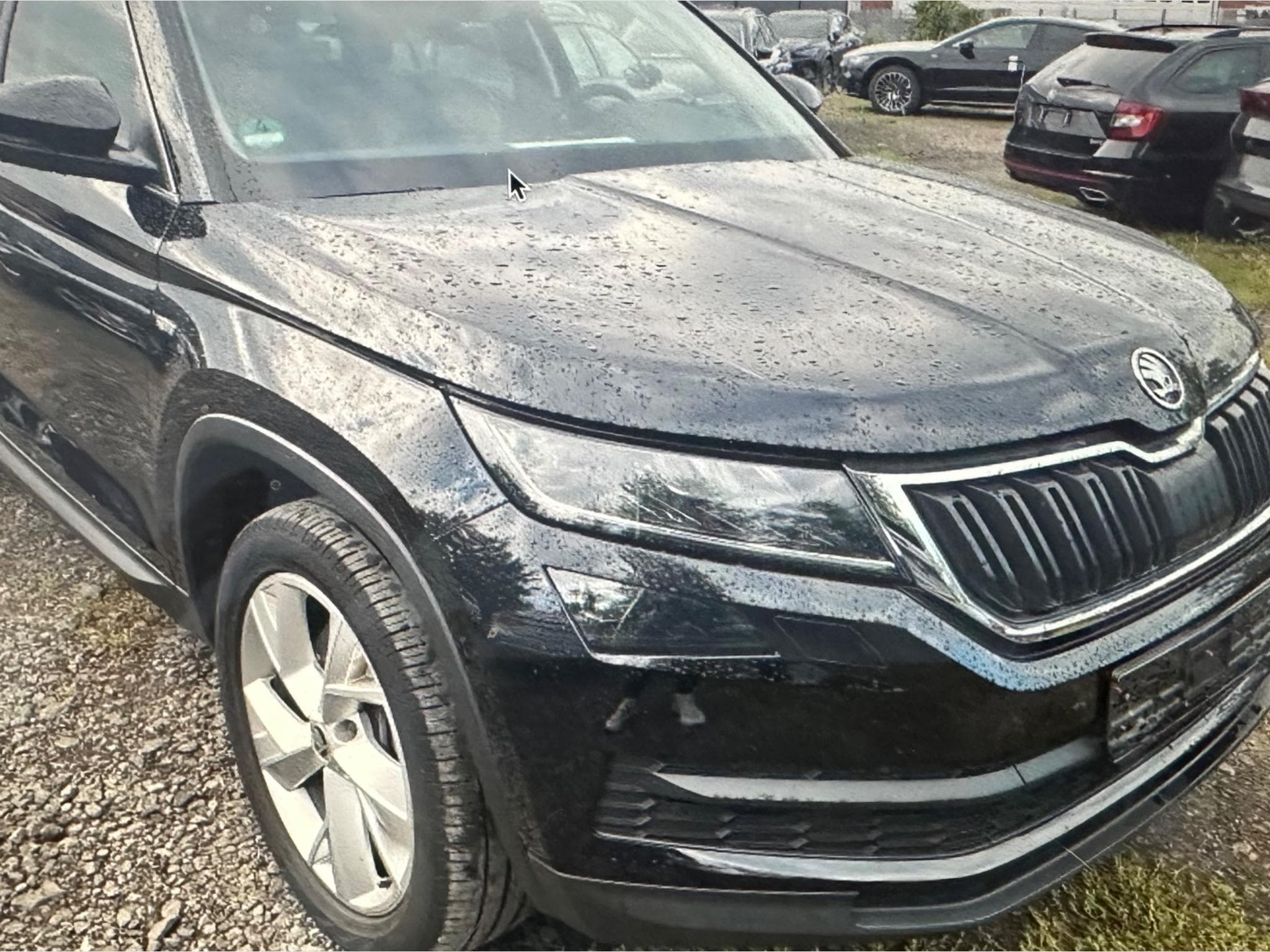 Skoda Kodiaq 4*4 (2020) - Foto 2