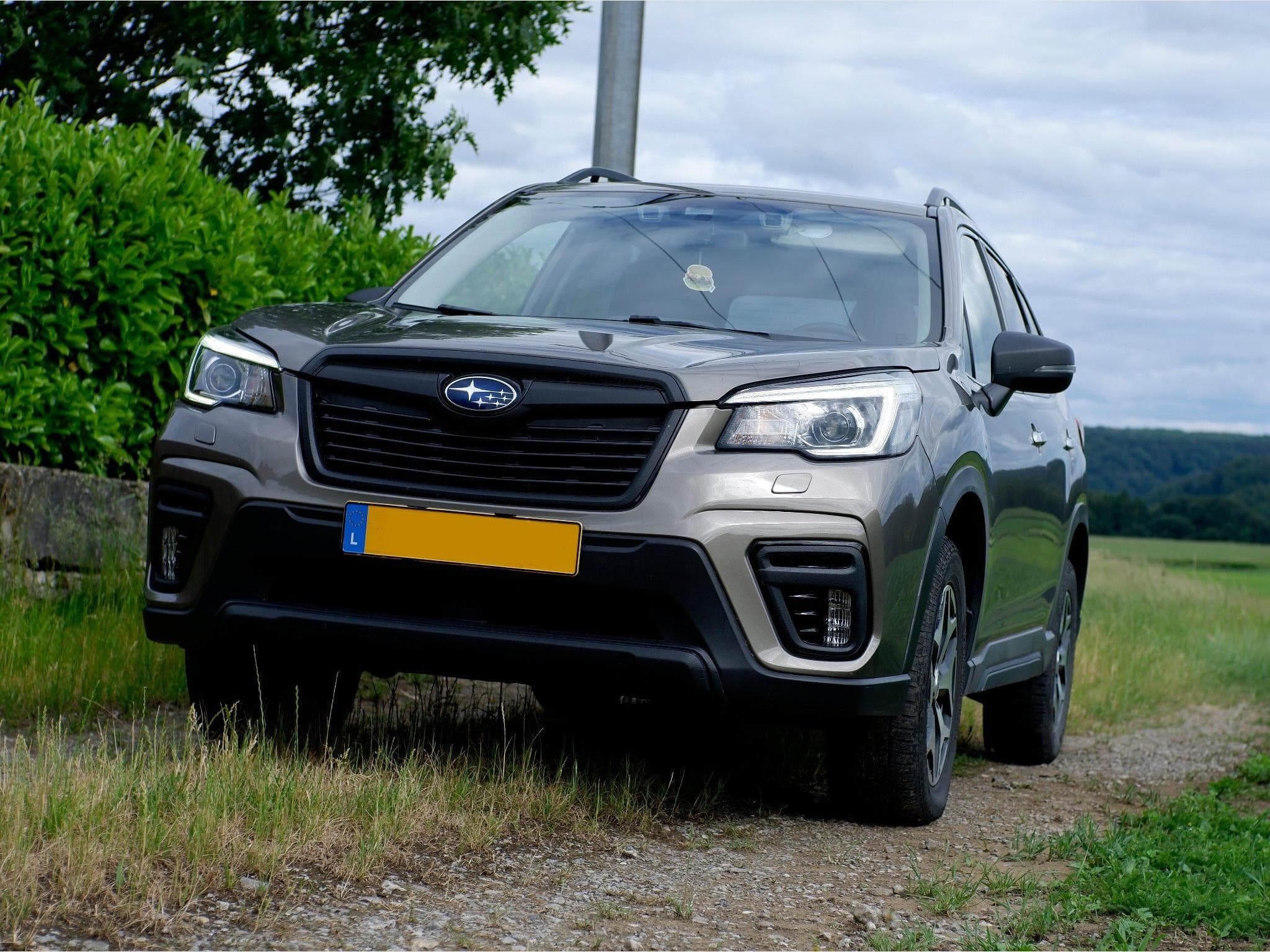 Subaru Forester (2020) - Photo 2