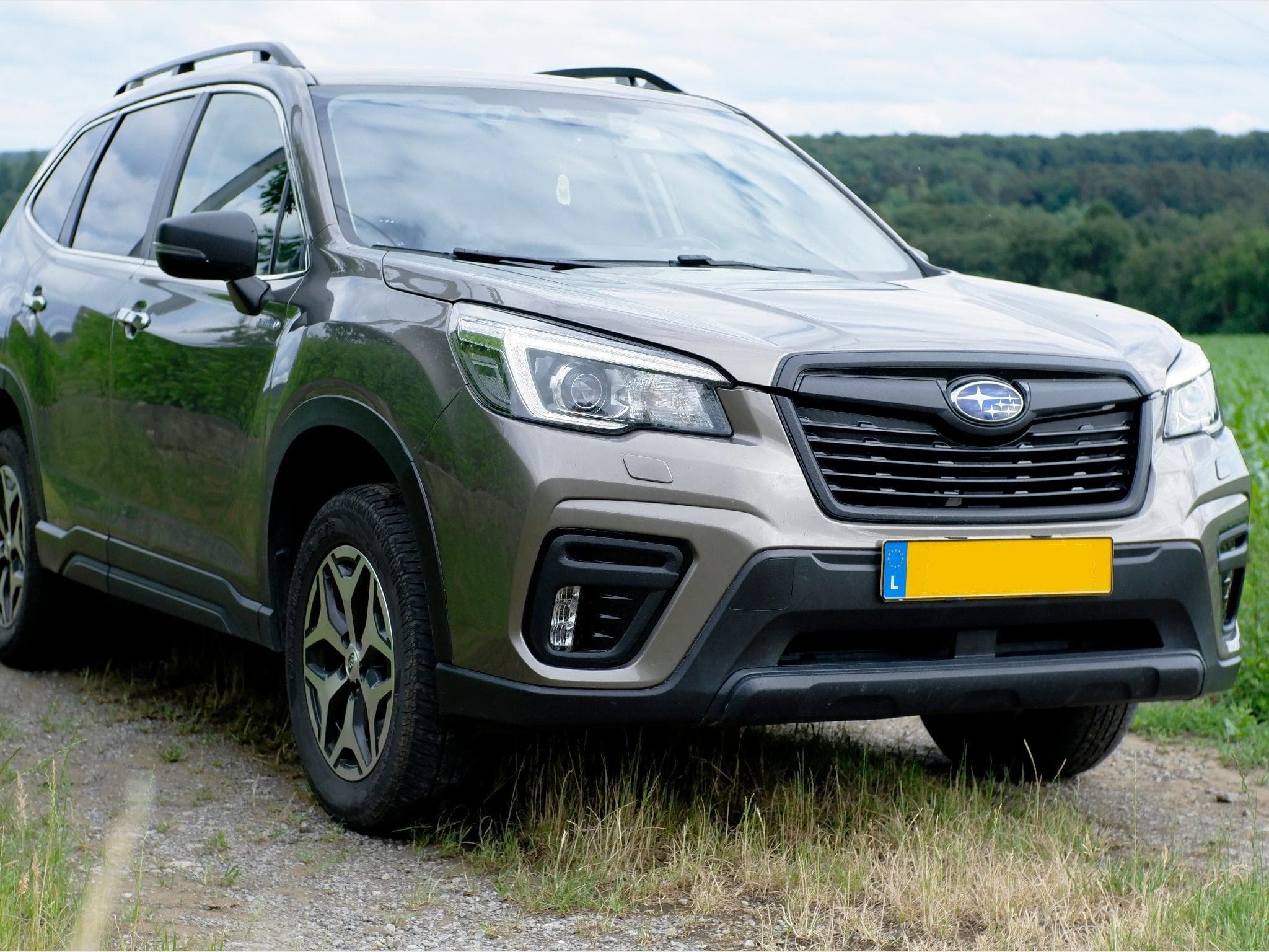 Subaru Forester (2020) - Photo 4