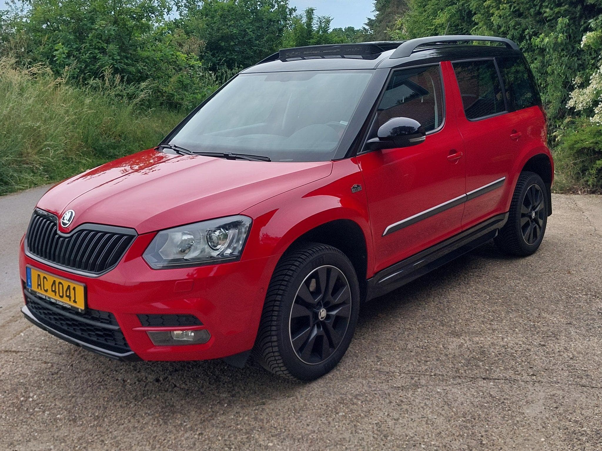 Skoda Yeti Monte Carlo 4x4 (2015) - Photo 3