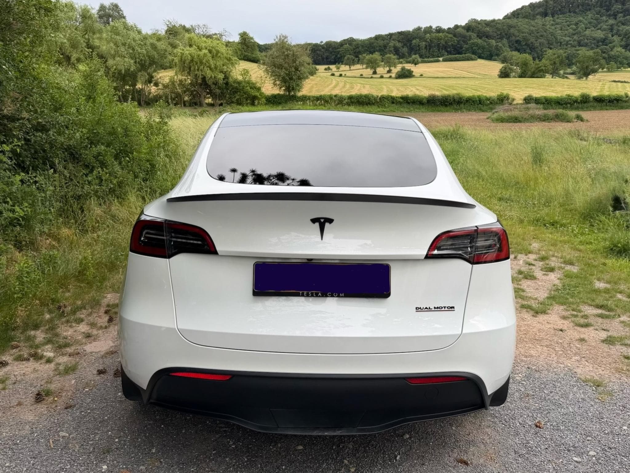 Tesla Model Y Performance (2023) - Foto 5
