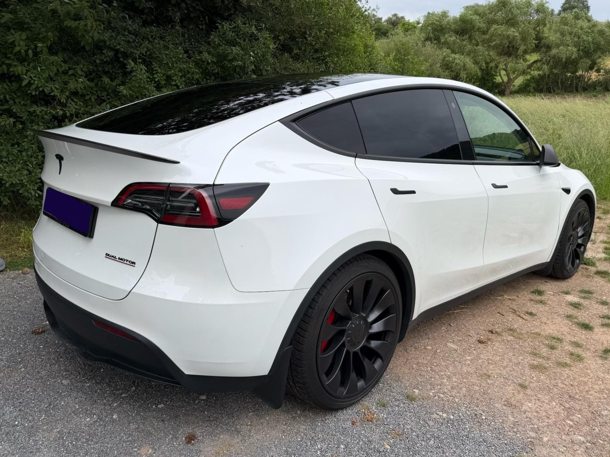 Tesla Model Y Performance (2023) - Foto 4