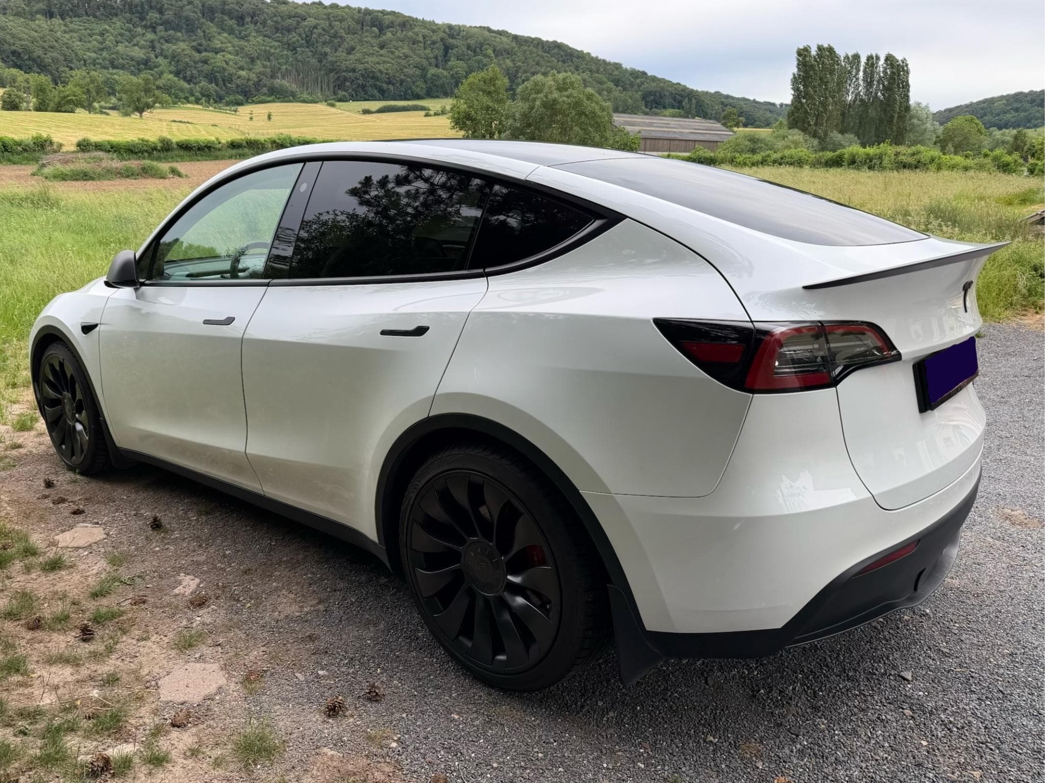 Tesla Model Y Performance (2023) - Foto 6