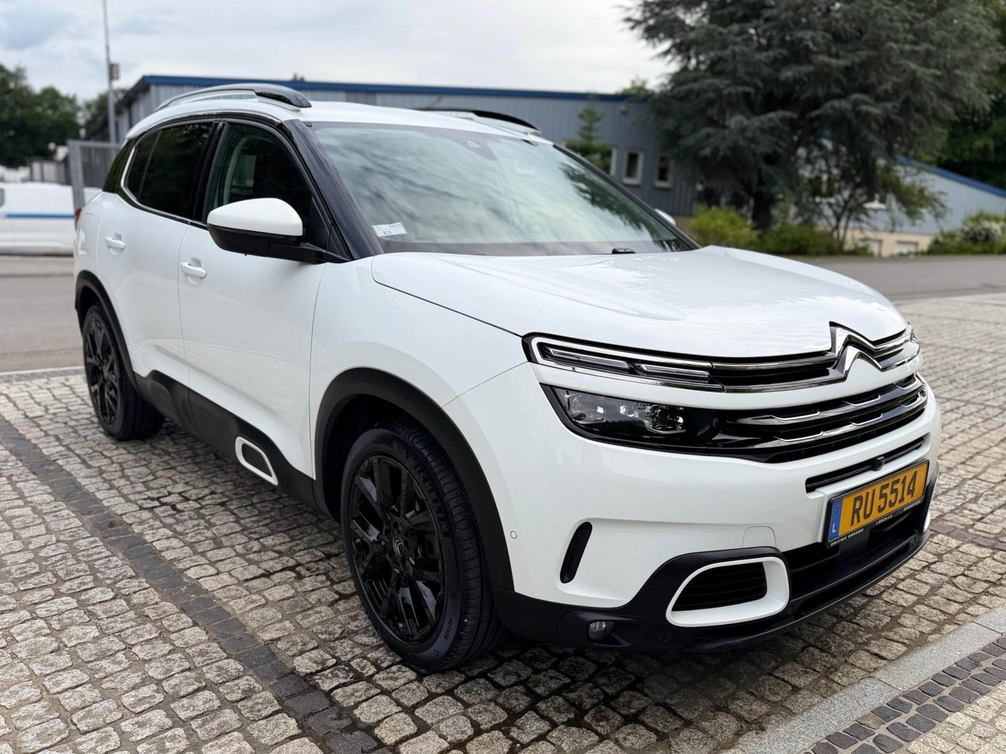 Citroën C5 Aircross Shine (2020) - Photo 7