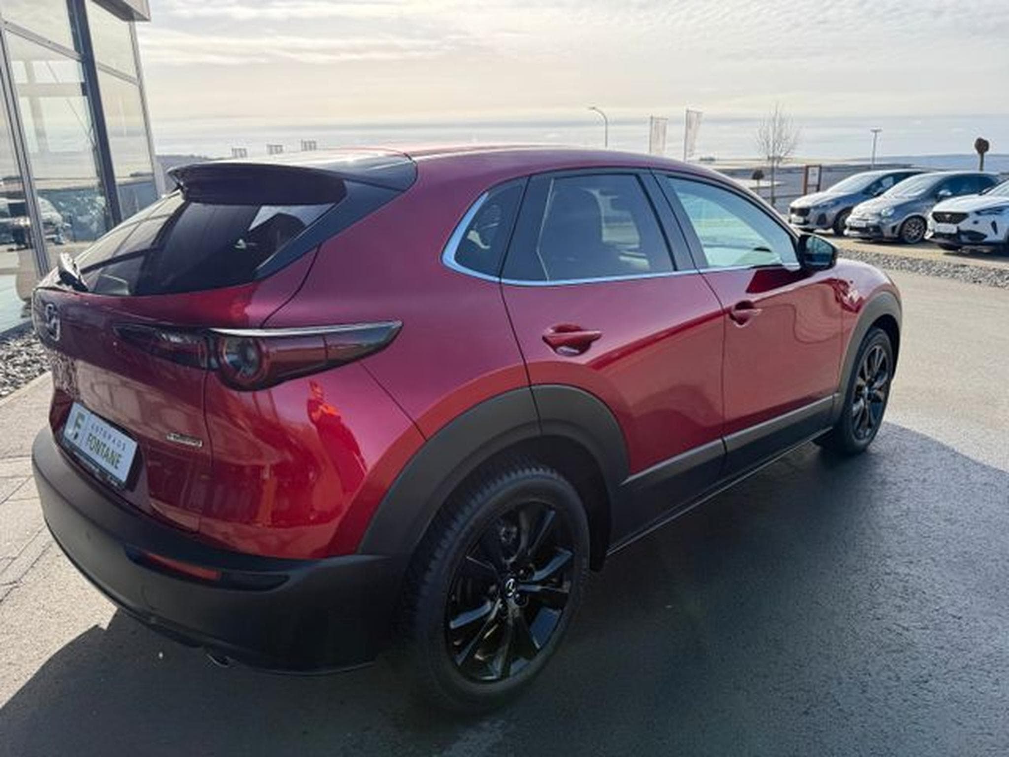 Mazda CX-3 CX-30 Skyactive Homura 18" Navi SHZ Kamera LED (2024) - Foto 6