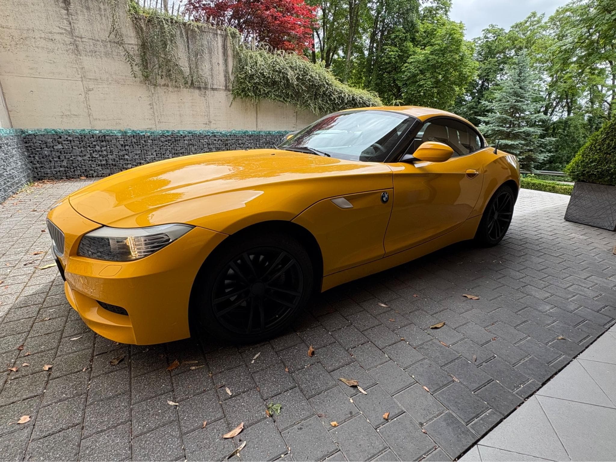 BMW Z4 Sport M (2011) - Foto 1