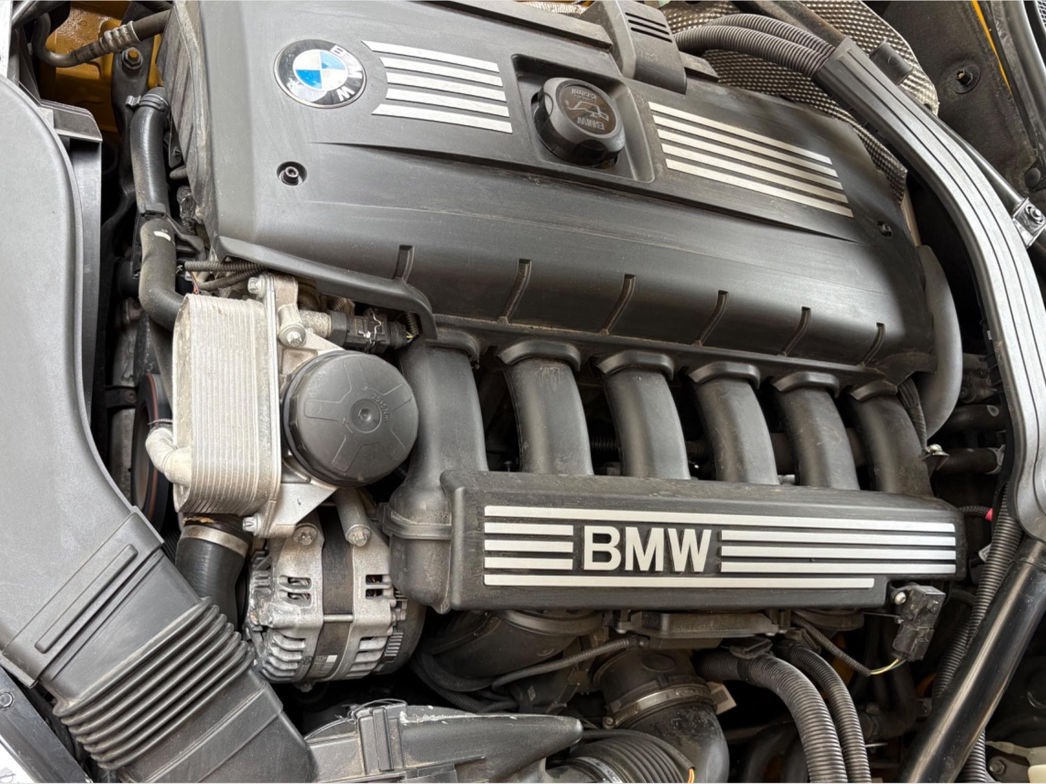BMW Z4 Sport M (2011) - Foto 12