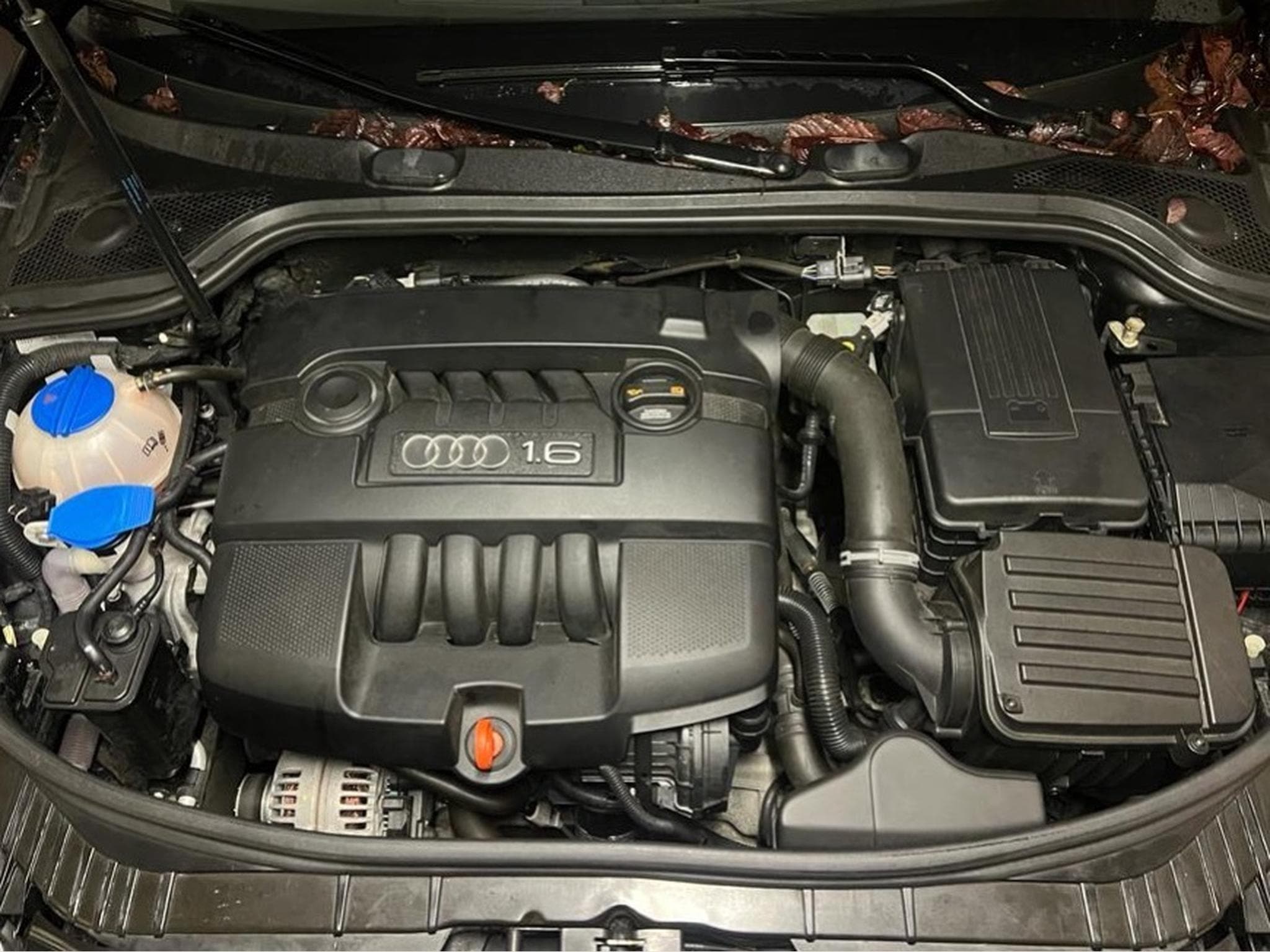 Audi A3 Audi A3 (2010) - Photo 3
