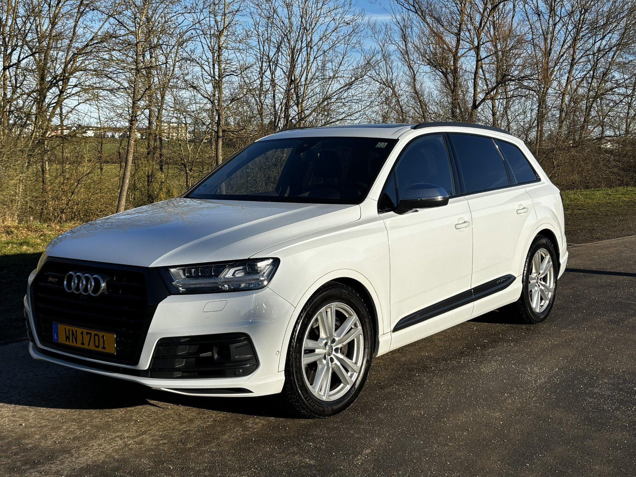 Audi SQ7 (2018) - Photo 1