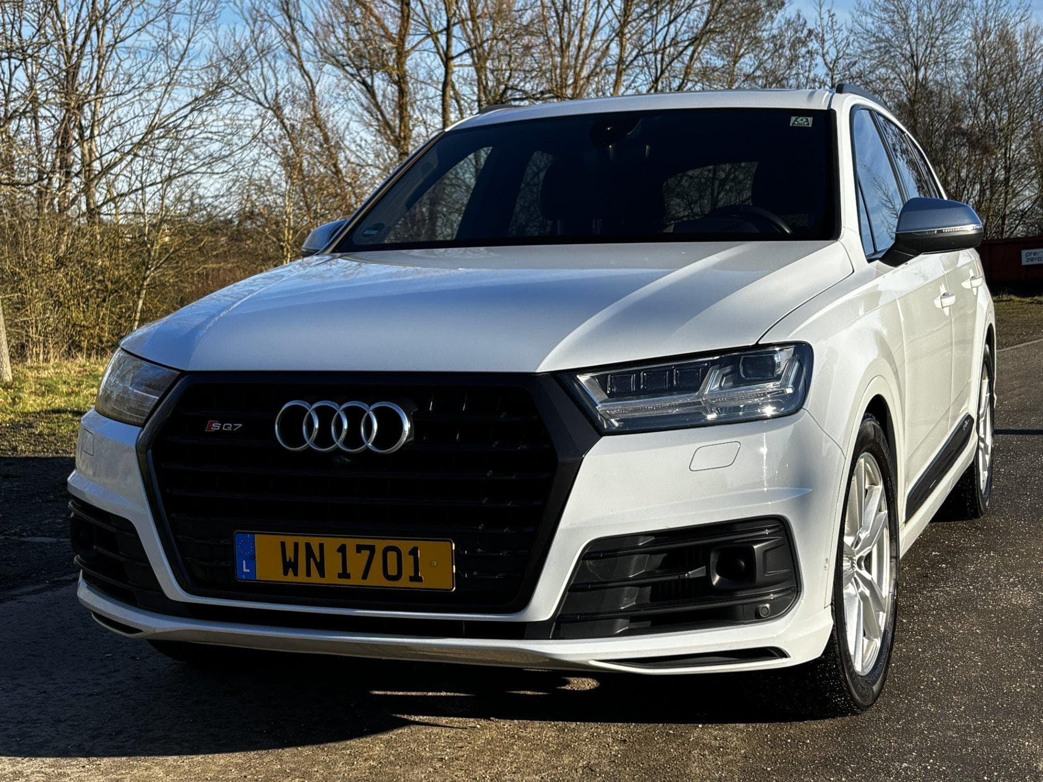 Audi SQ7 (2018) - Photo 2