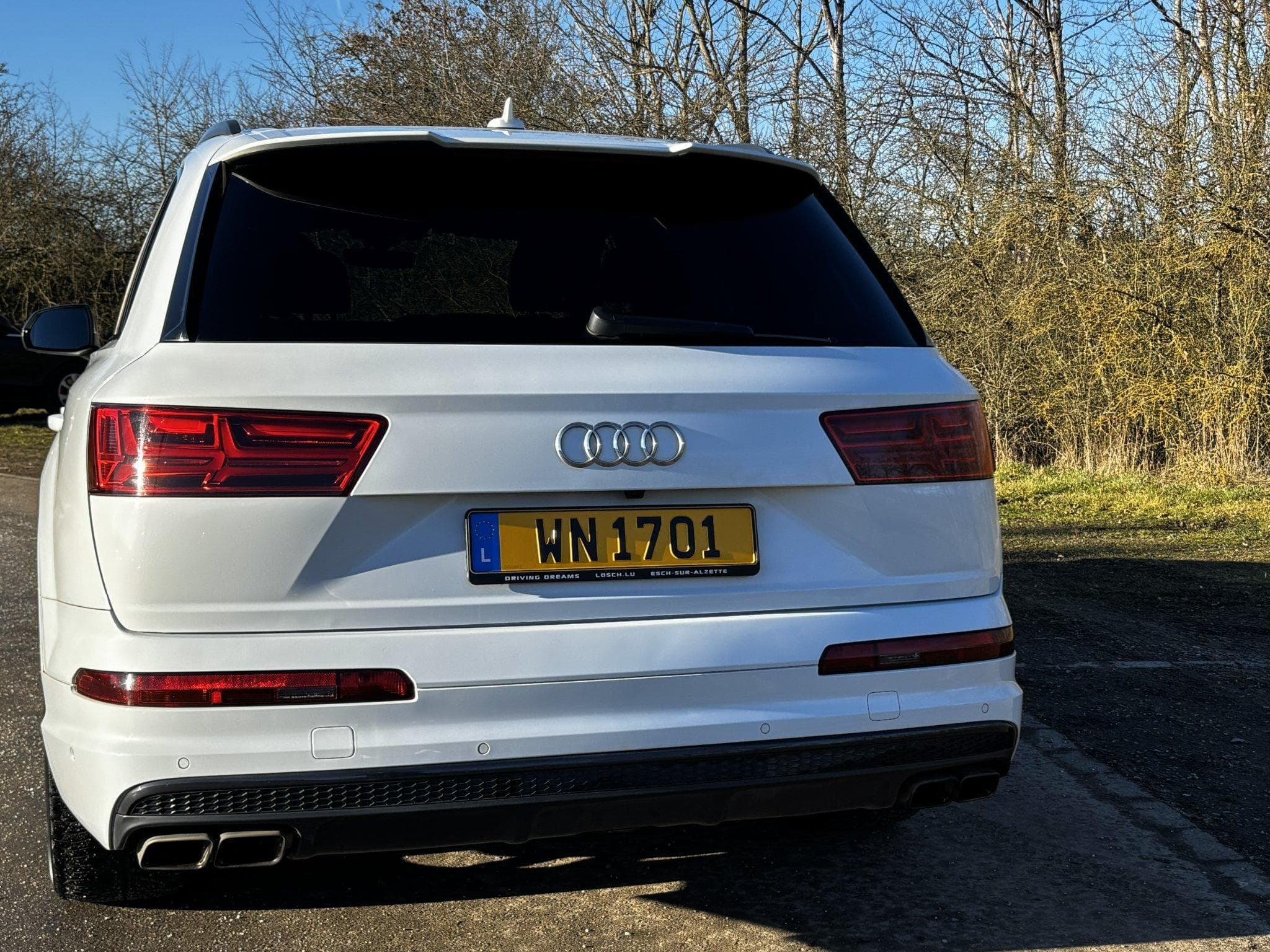 Audi SQ7 (2018) - Photo 4