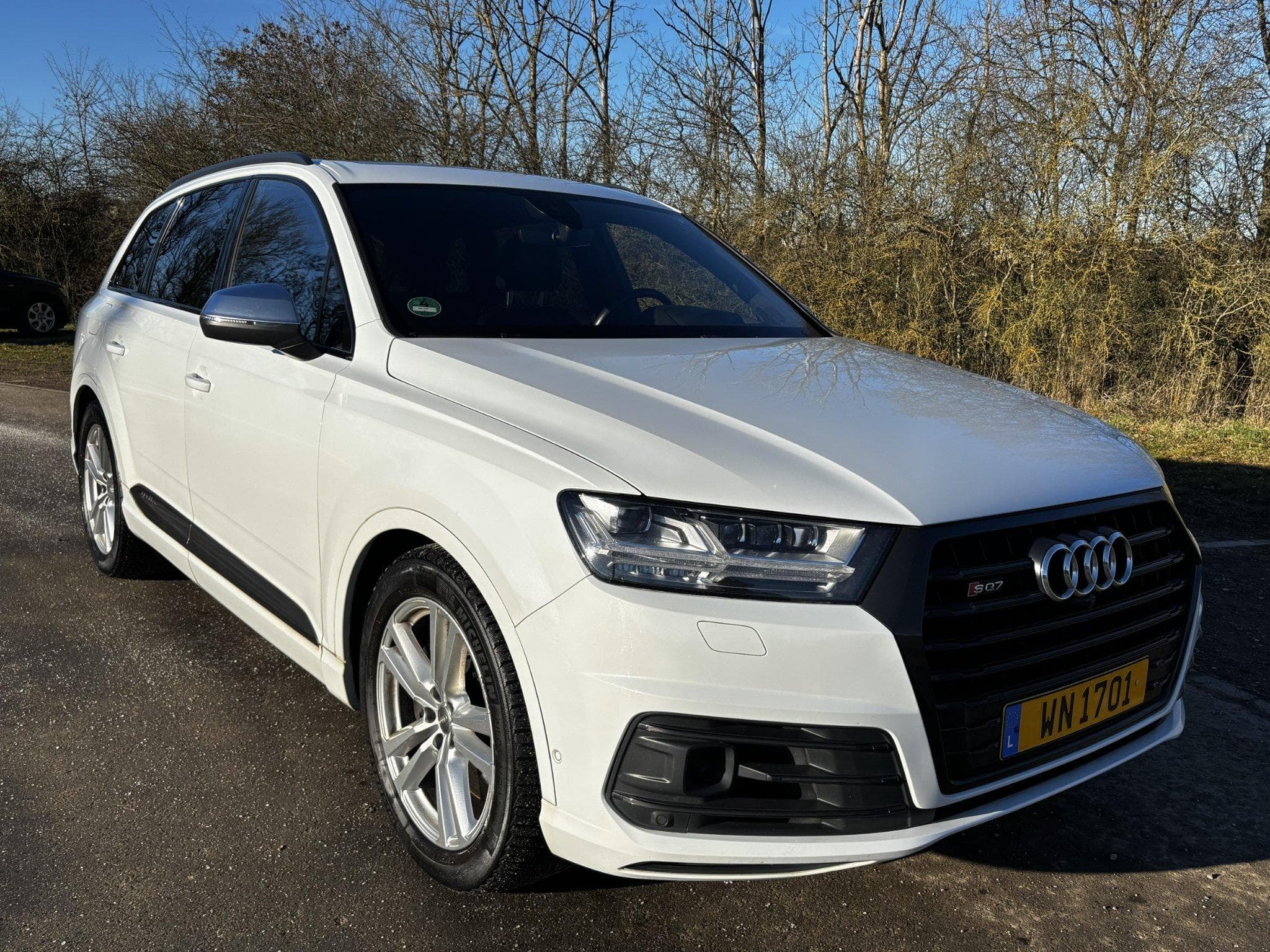 Audi SQ7 (2018) - Photo 6