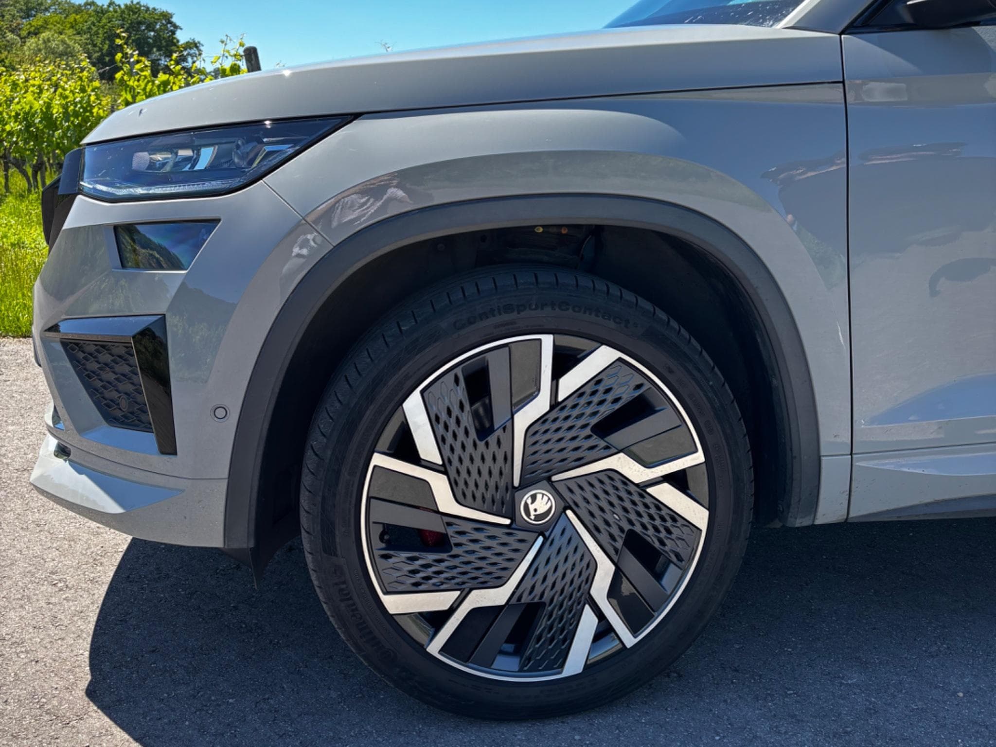 Skoda Kodiaq RS (2023) - Photo 3