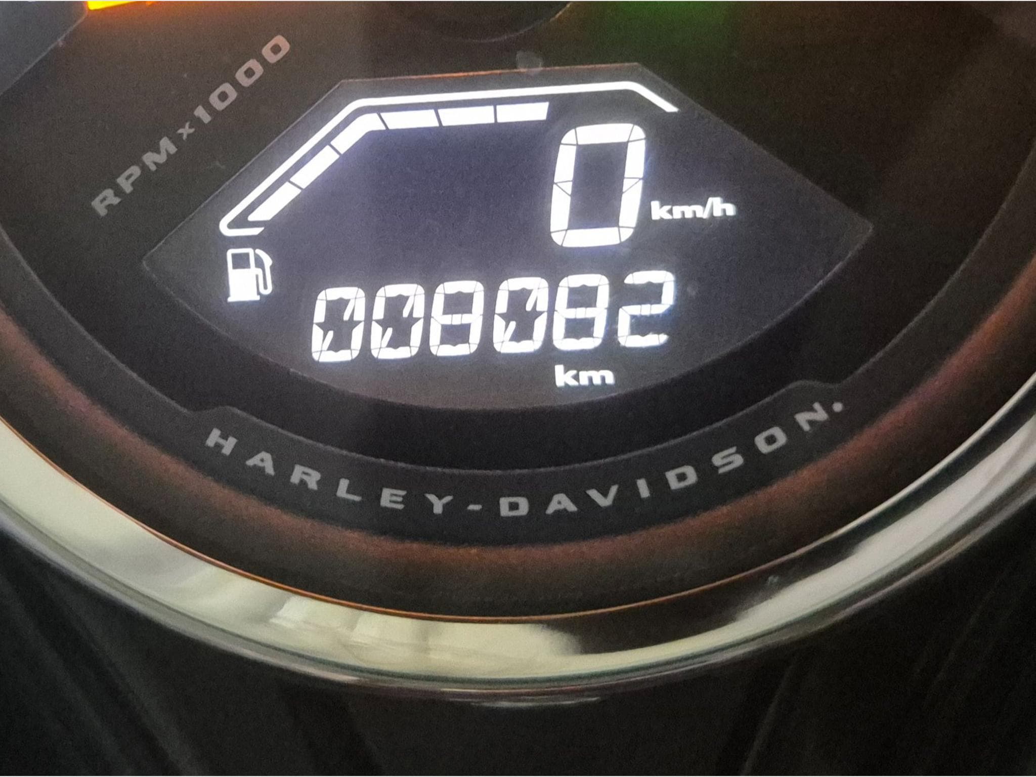 Harley-Davidson Fat Bob 114 + échappement KessTech (Homologué) (2021) - Photo 14
