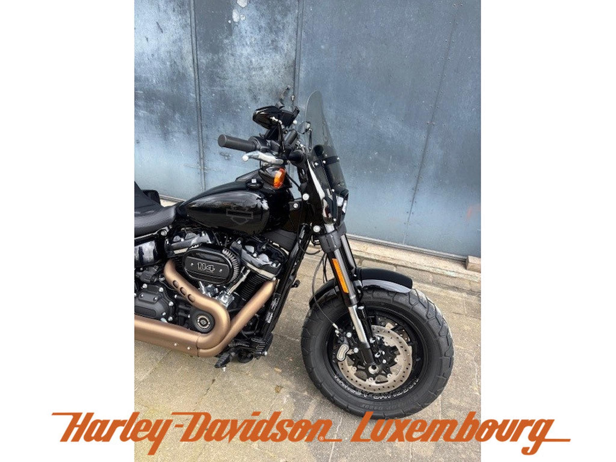 Harley-Davidson Fat Bob (2021) - Photo 2