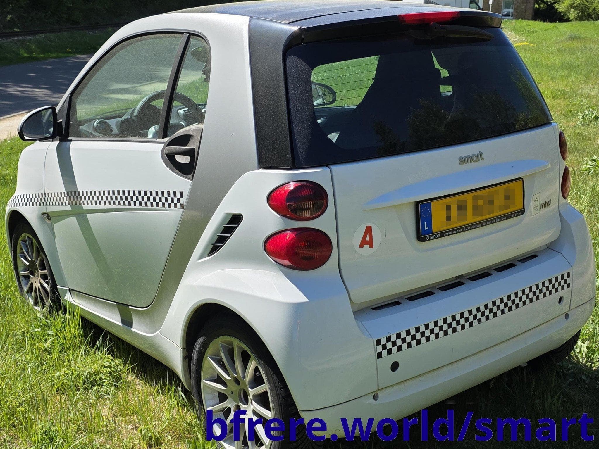 Smart Fortwo Série 452, var. 43RAF0, vers. QZAAA200 (2010) - Photo 2
