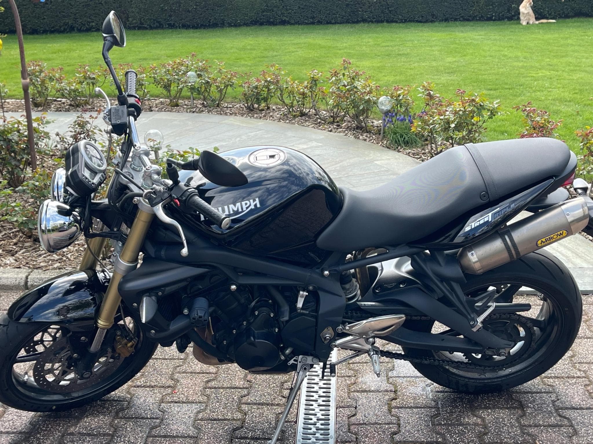 Triumph Street Triple (2009) - Foto 4