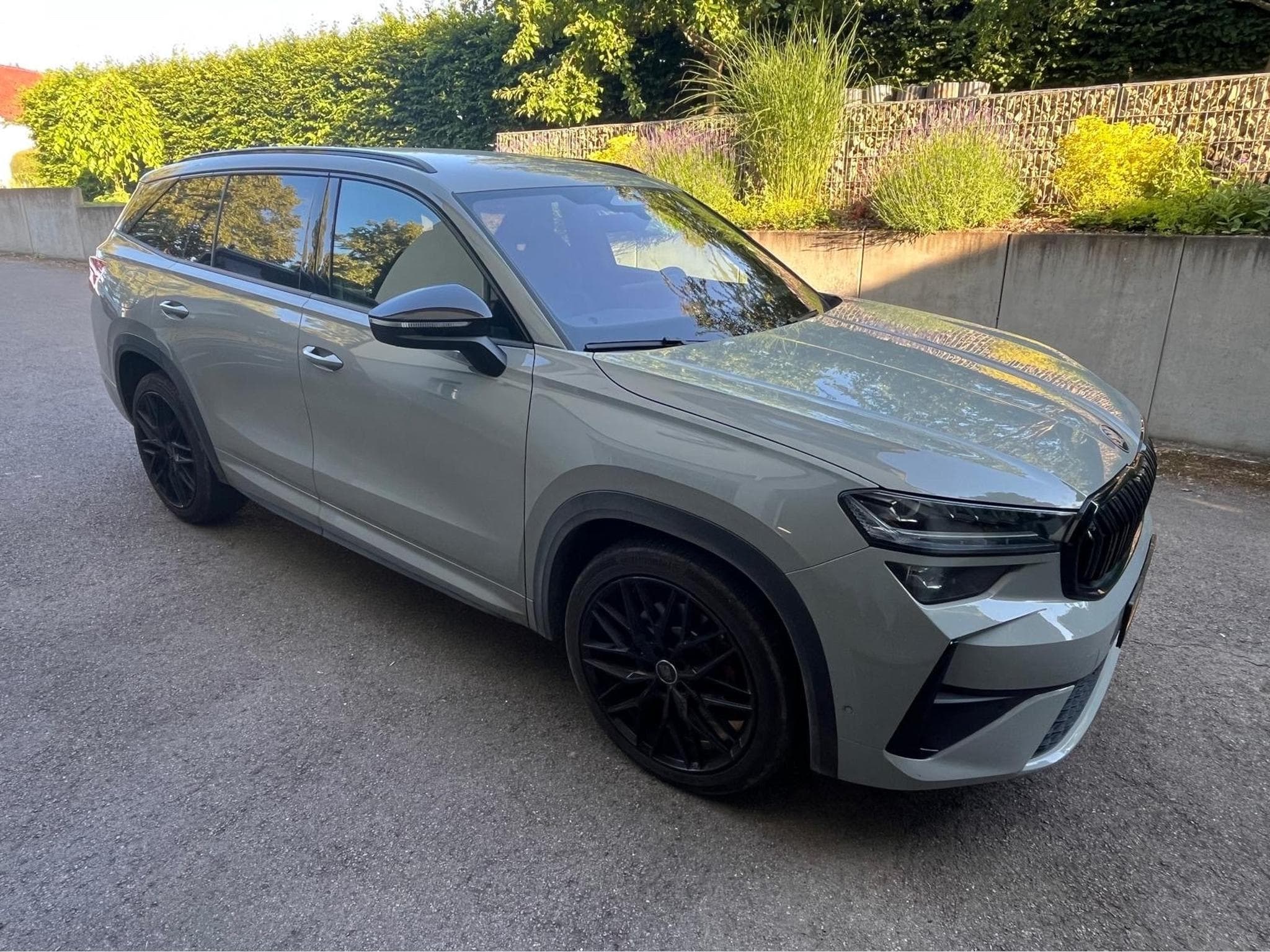 Skoda Kodiaq RS 2.0 TSI 4X4 (2025) - Foto 9