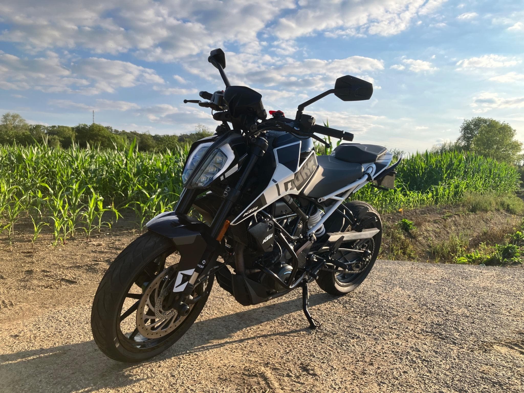 KTM Duke 390 White Edition (2022) - Photo 3
