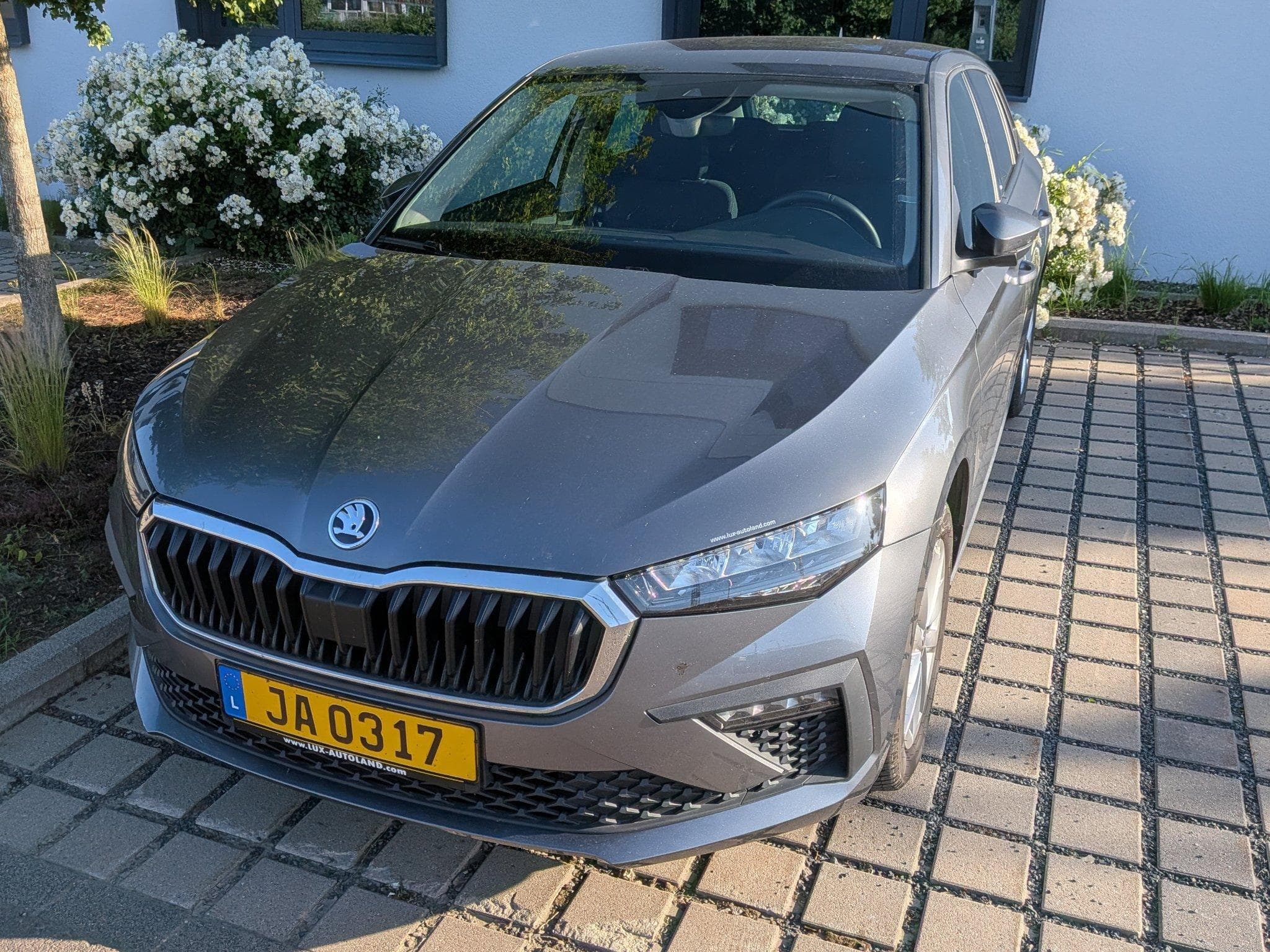 Skoda Scala Selection (2024) - Foto 1