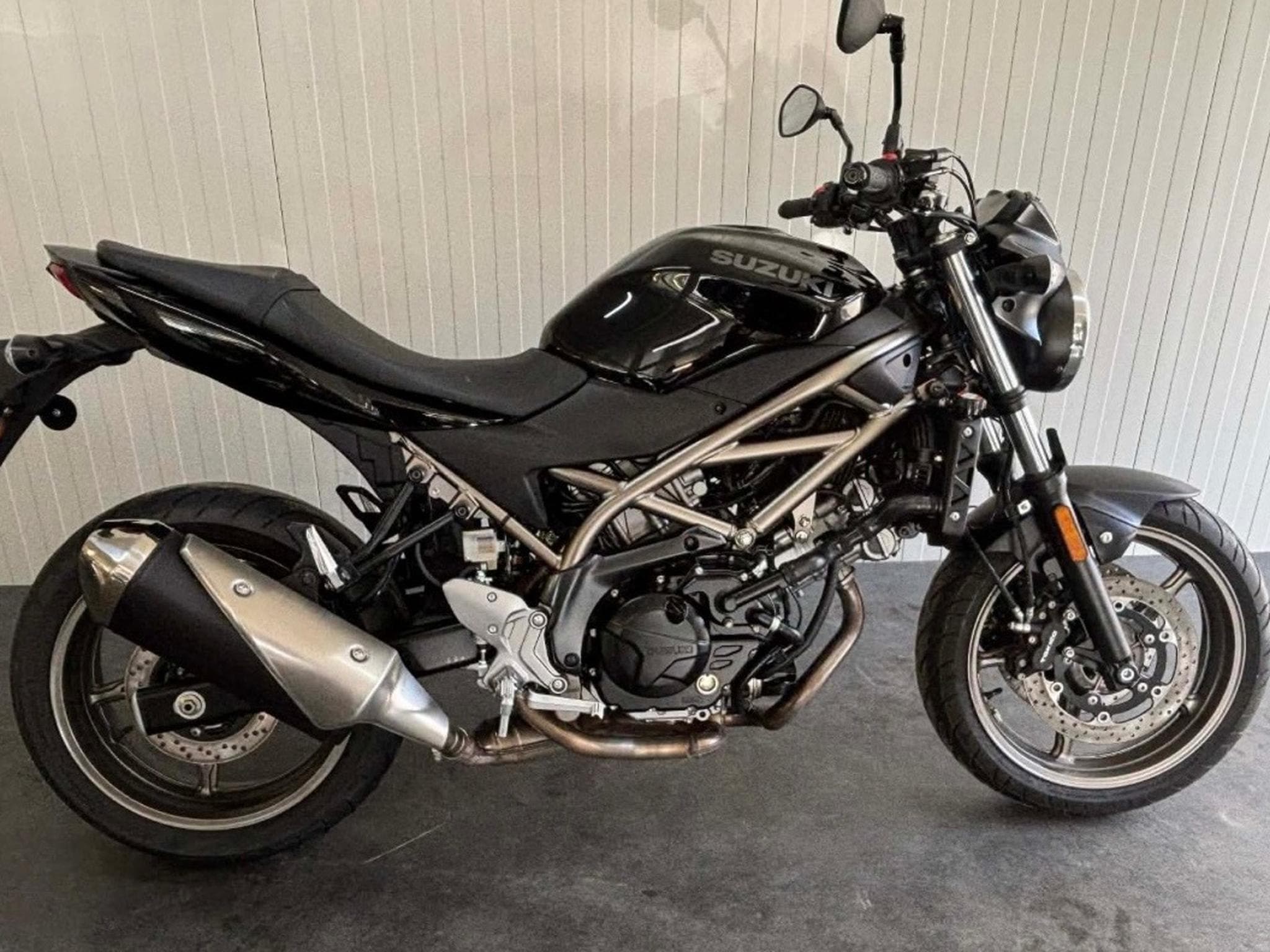 Suzuki SV 650 (2024) - Photo 1