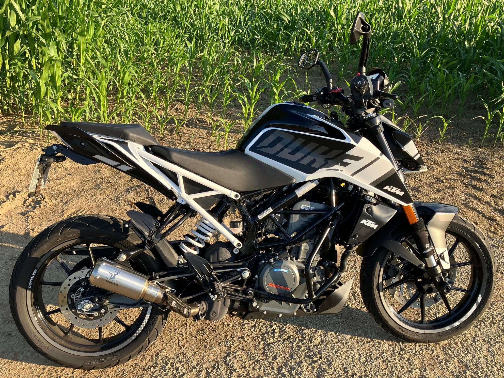 KTM Duke 390 White Edition (2022) - Photo 2