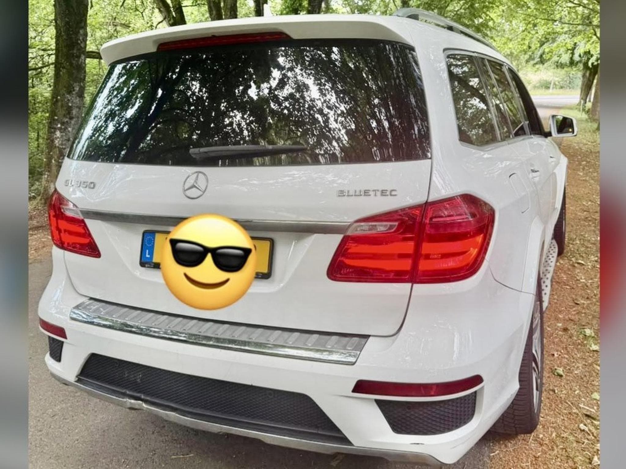 Mercedes GL 350 BLUETEC V6 (2014) - Foto 2
