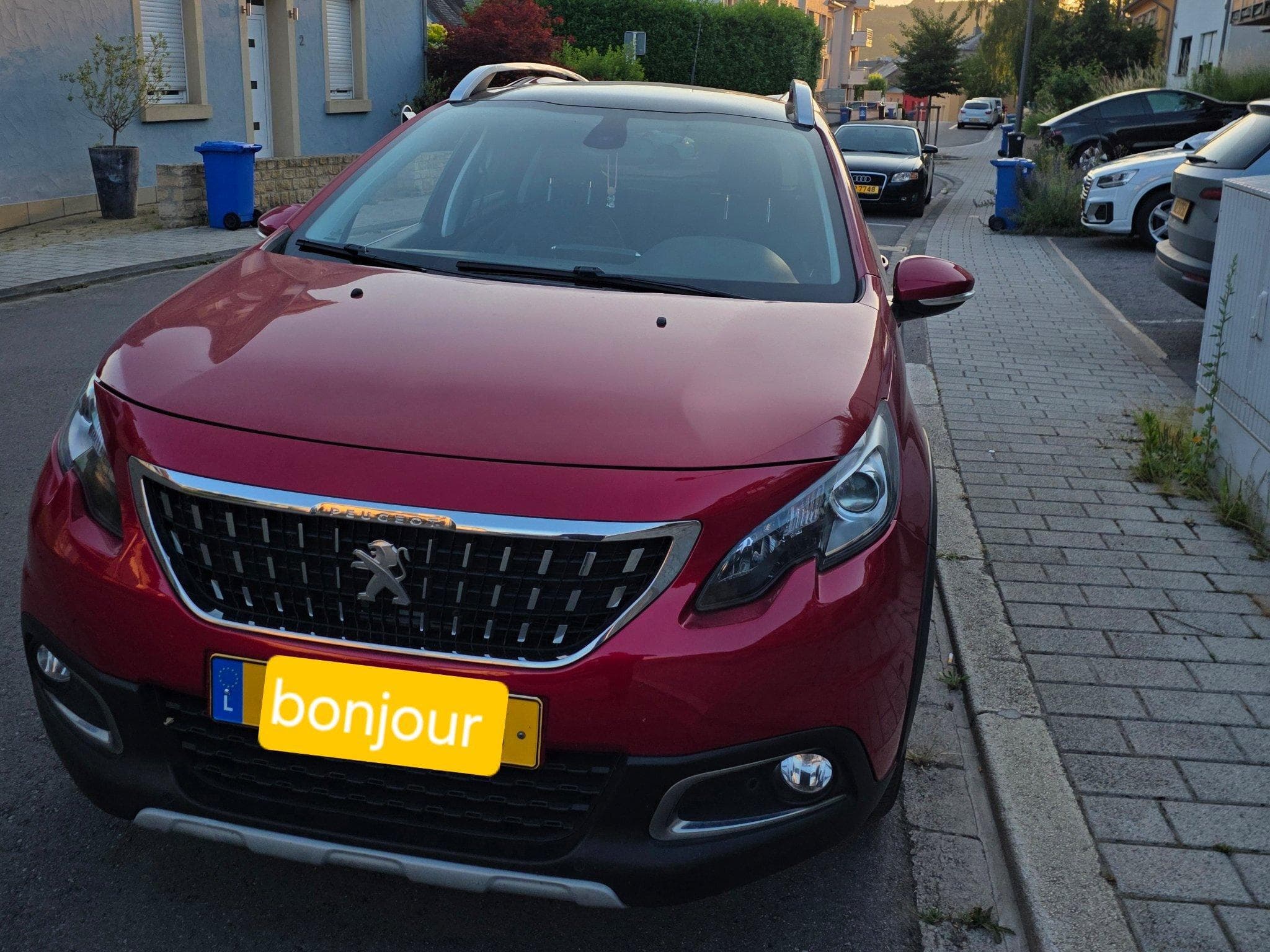 Peugeot 2008 (2018) - Photo 1