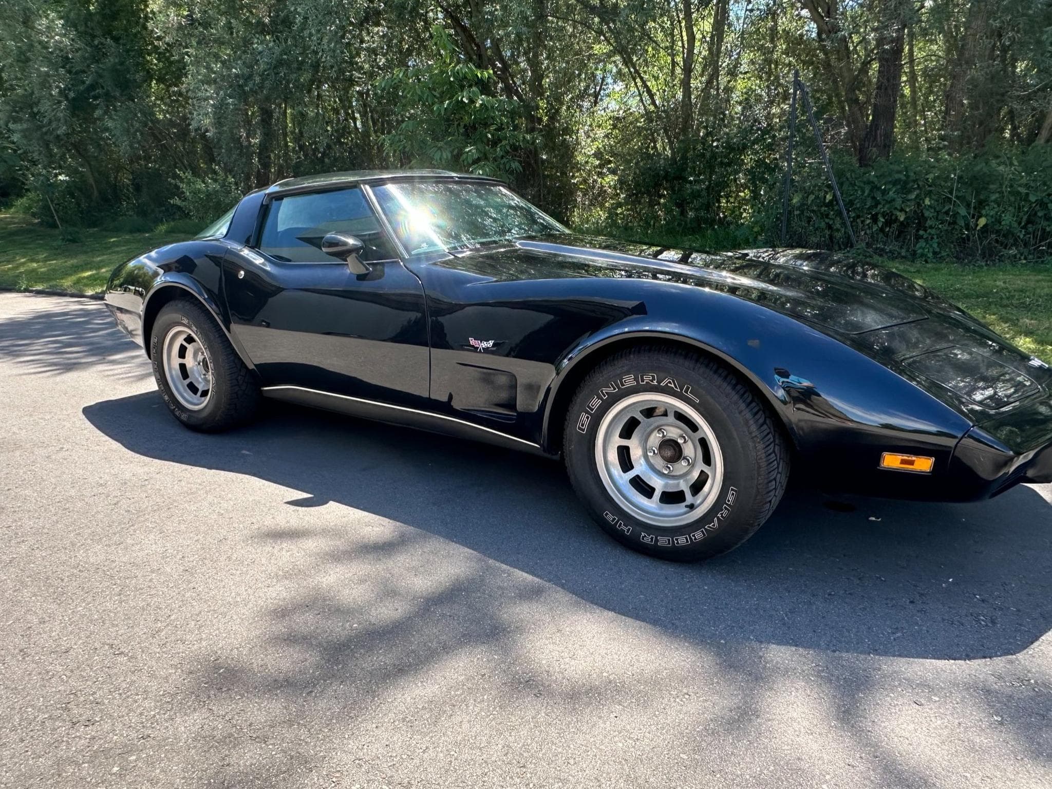 Chevrolet Corvette Corvette C3 Targa de 1979 (1979) - Photo 1