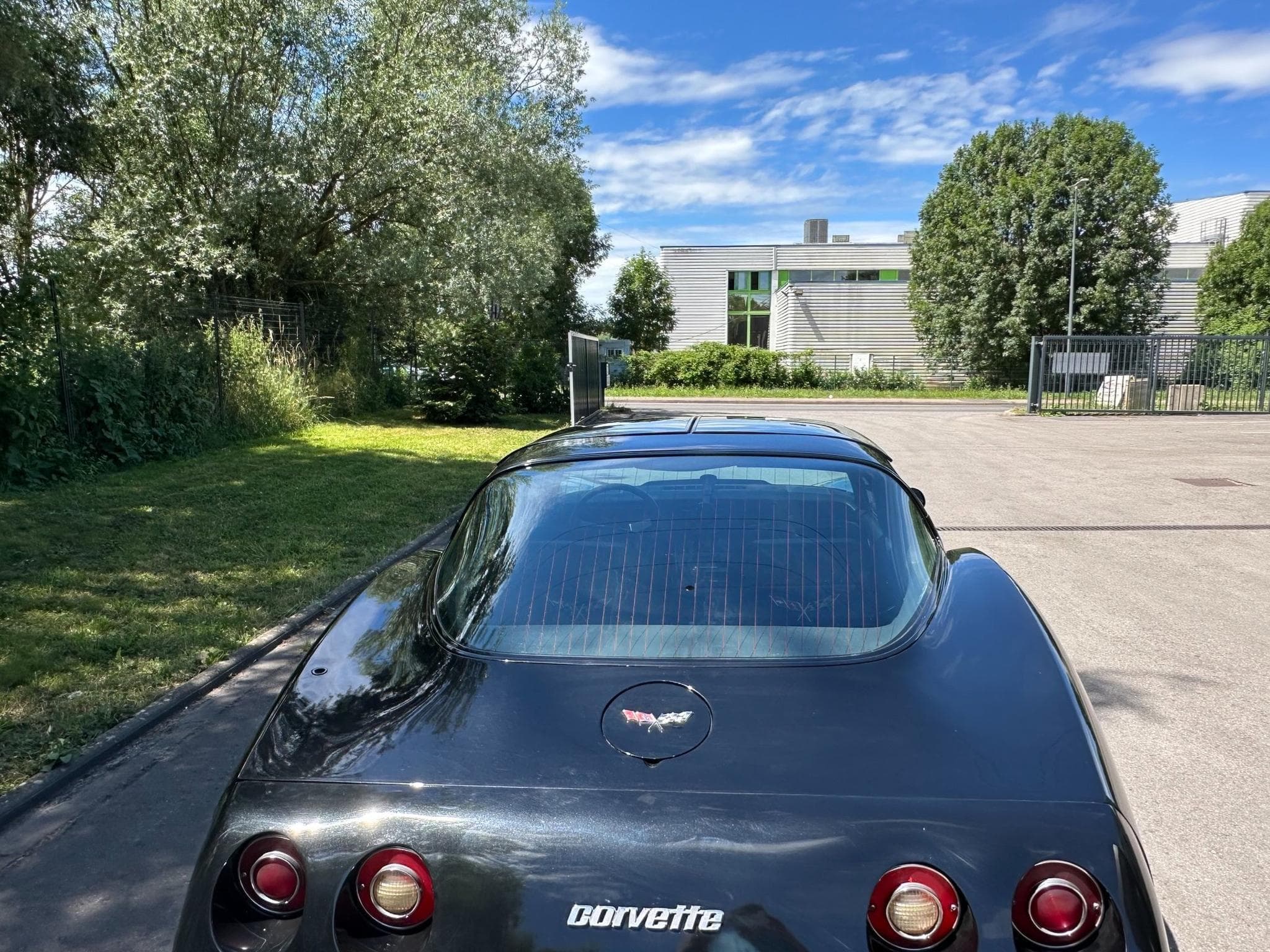 Chevrolet Corvette Corvette C3 Targa de 1979 (1979) - Photo 3