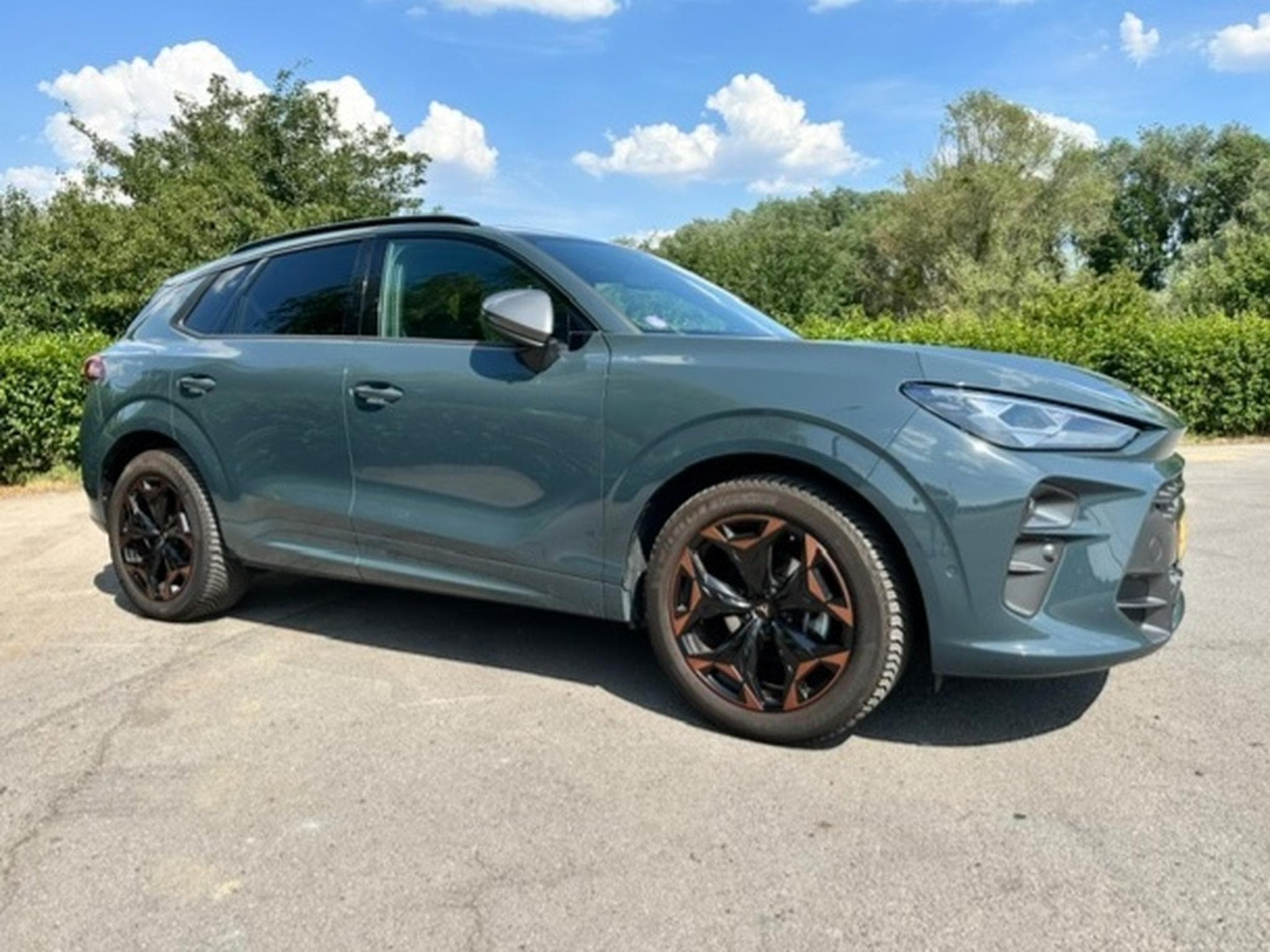 Cupra Terramar 1.5 eTSI - 360 - AHK - STHZ (2024) - Photo 1