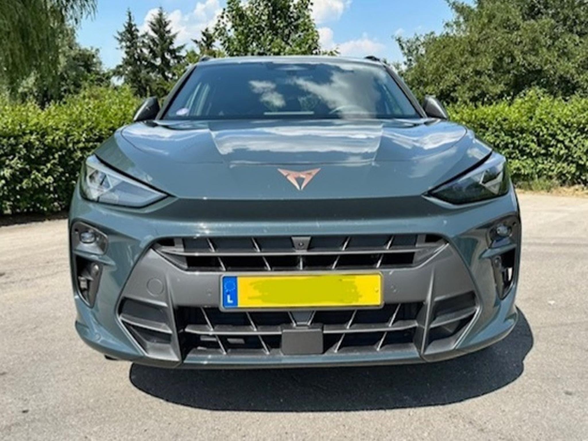 Cupra Terramar 1.5 eTSI - 360 - AHK - STHZ (2024) - Photo 4