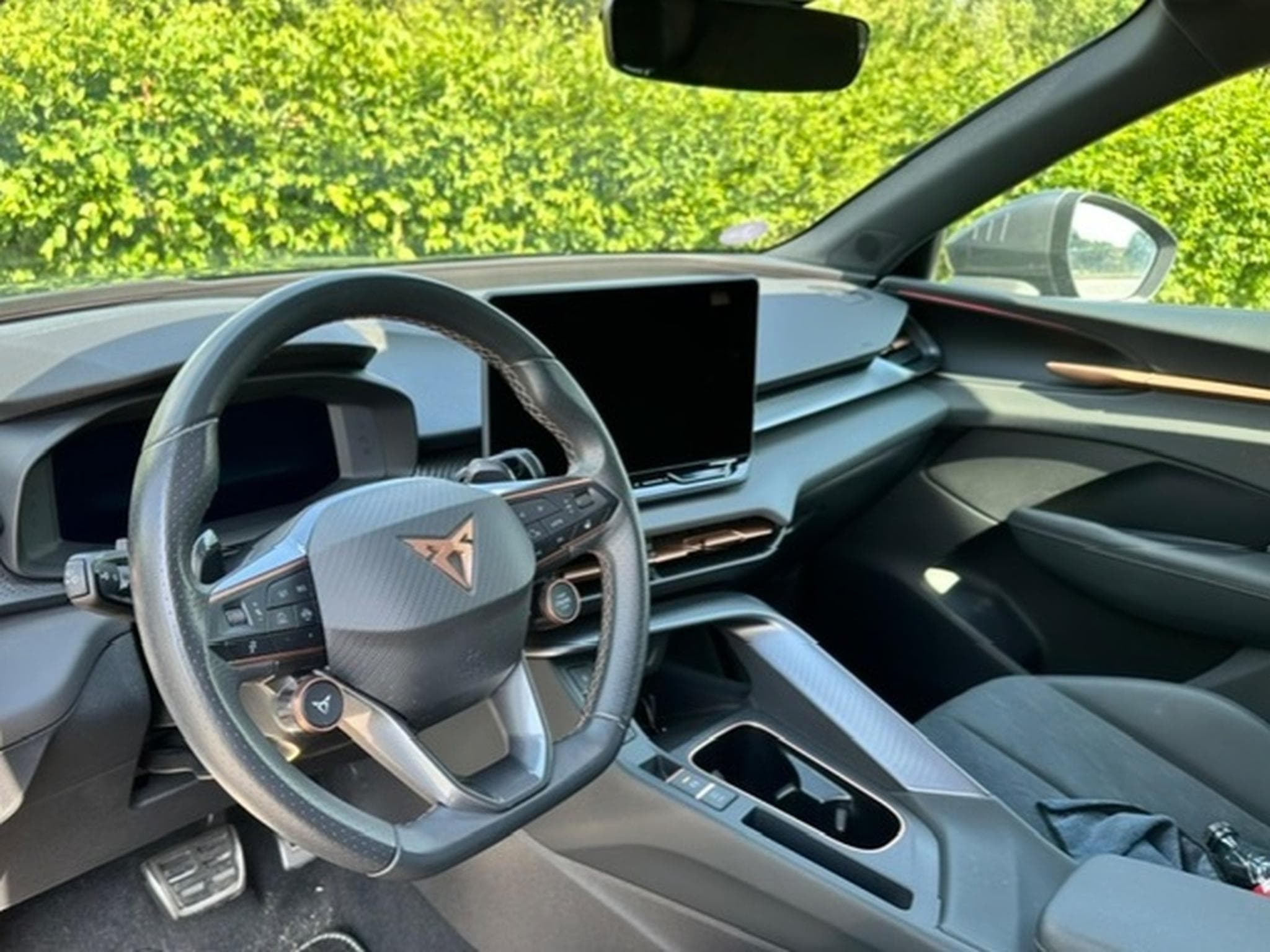Cupra Terramar 1.5 eTSI - 360 - AHK - STHZ (2024) - Photo 6