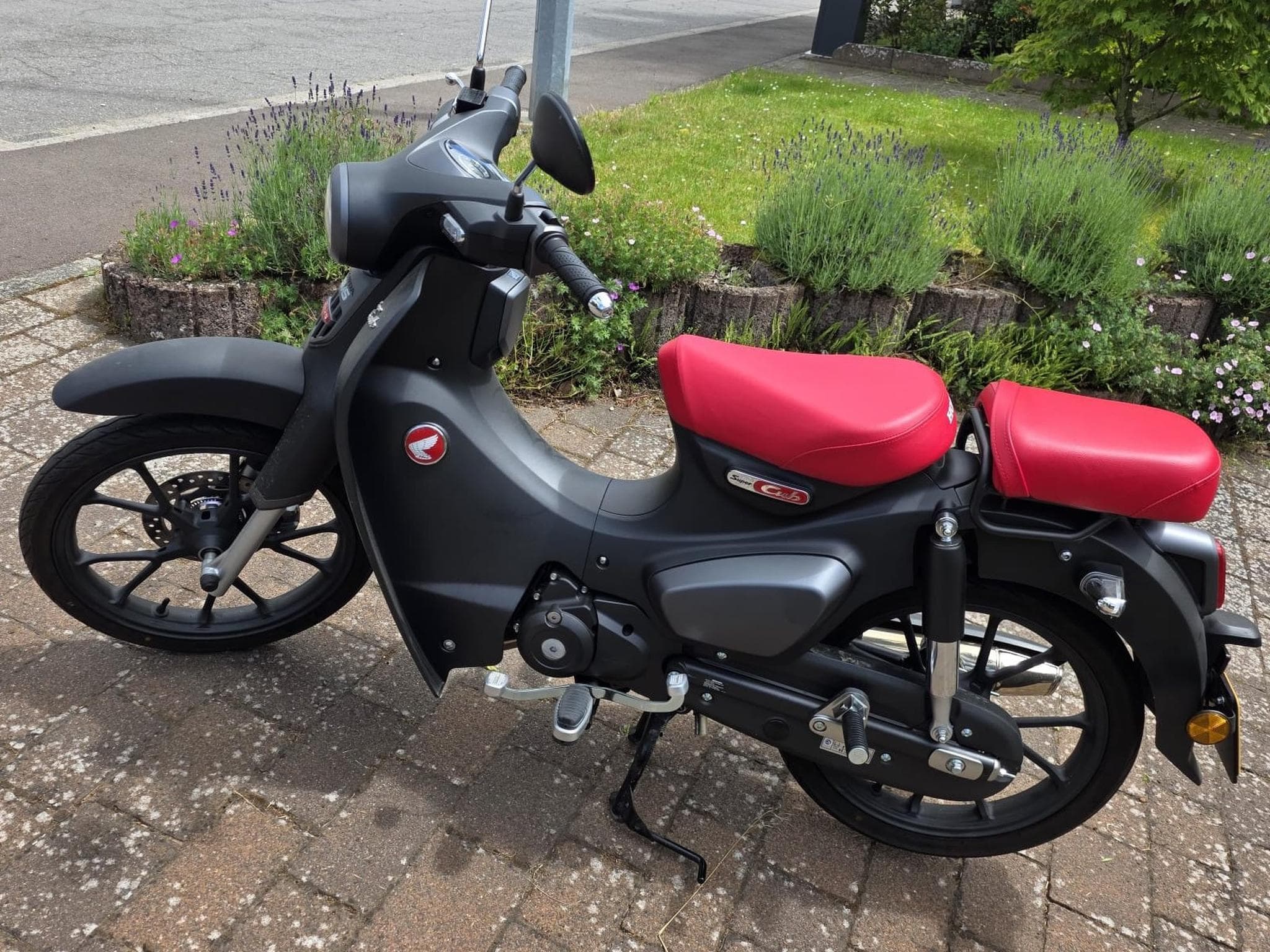 Honda Super Cub (2022) - Photo 1