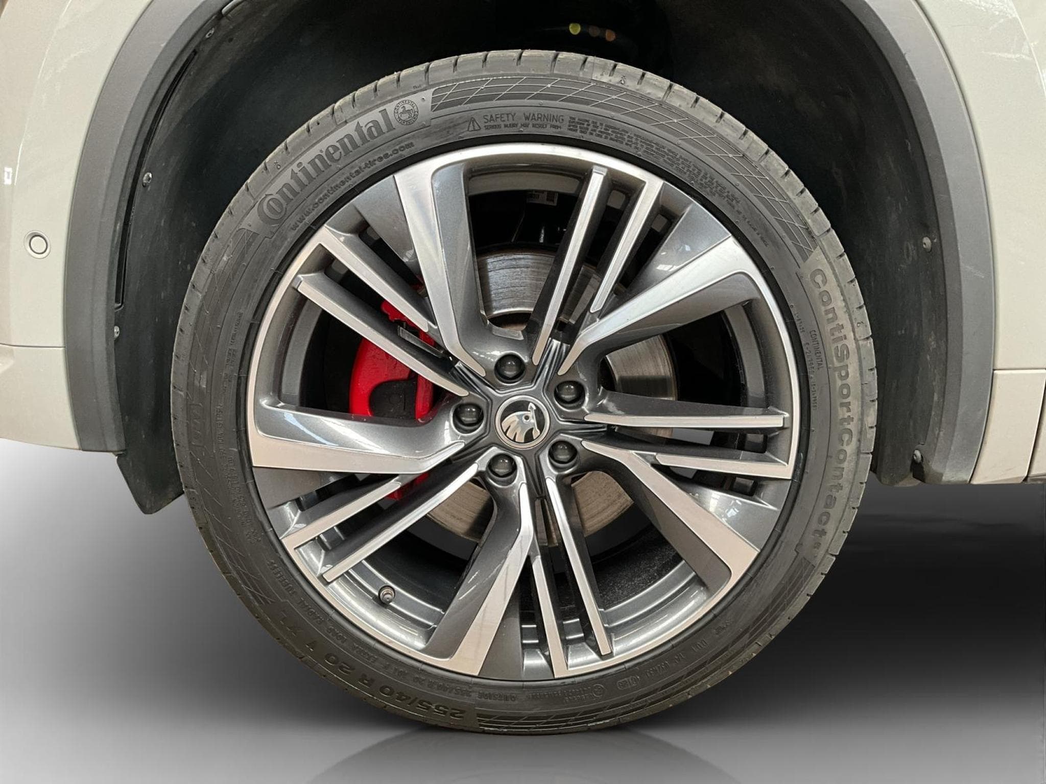 Skoda Kodiaq RS+DSG+4x4+Pano+AHK+Stand-H. (2023) - Photo 8