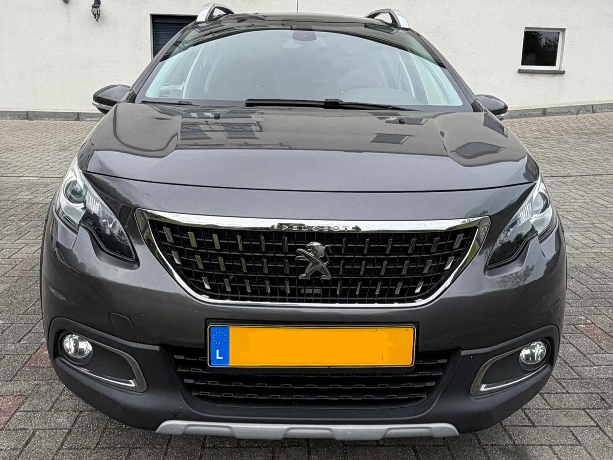 Peugeot 2008 (2019) - Photo 2