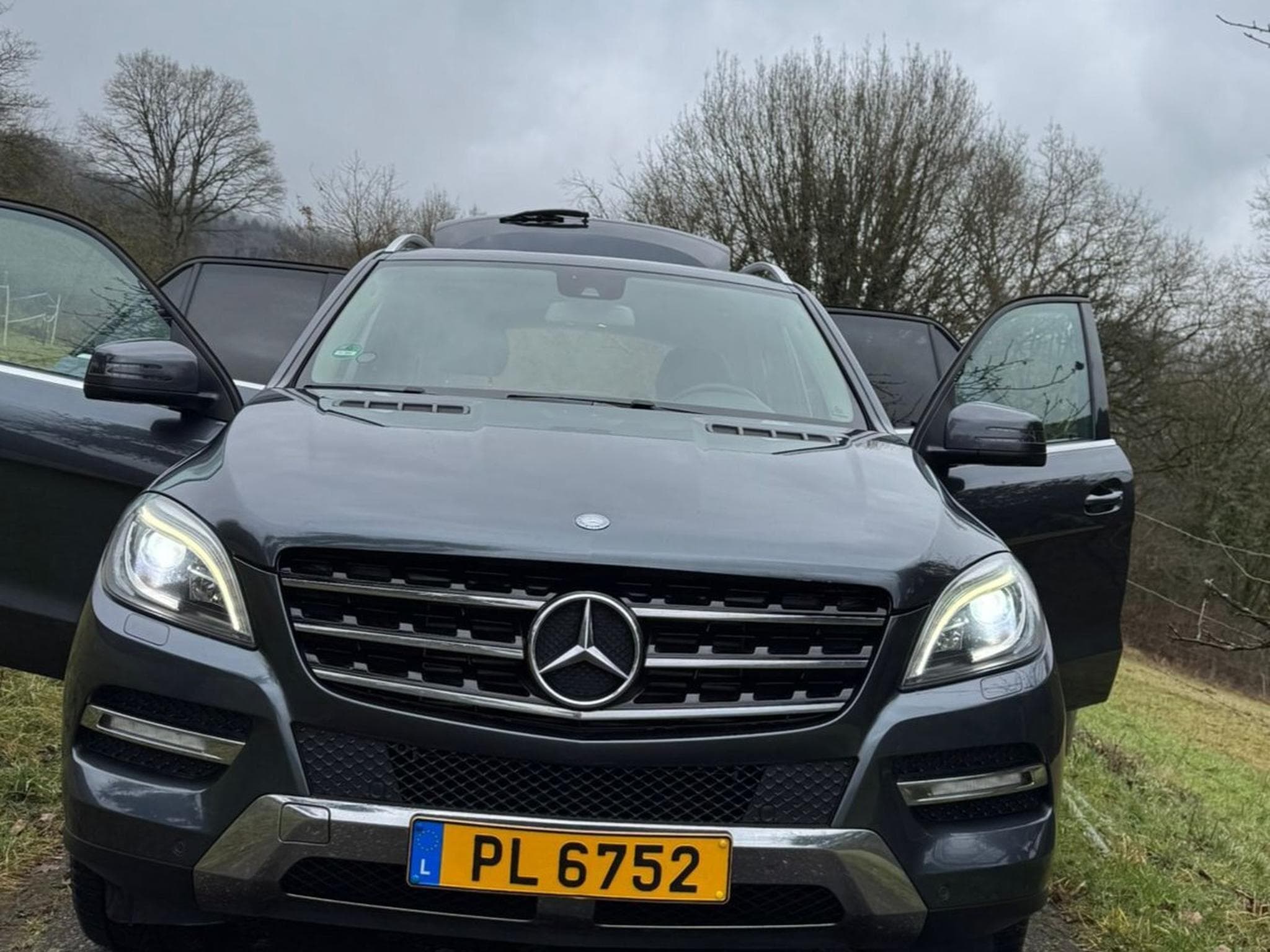 Mercedes ML 350 Blue Tec (2012) - Foto 1