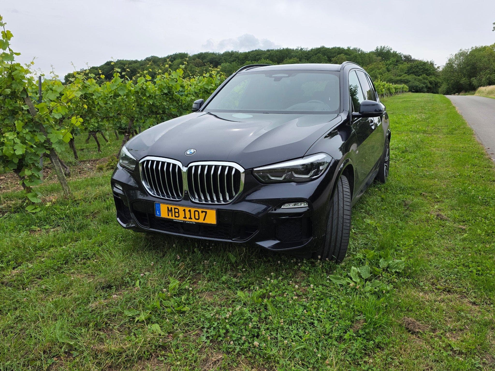 BMW X5 xDrive30d Pack M Steptronic (2019) - Photo 2