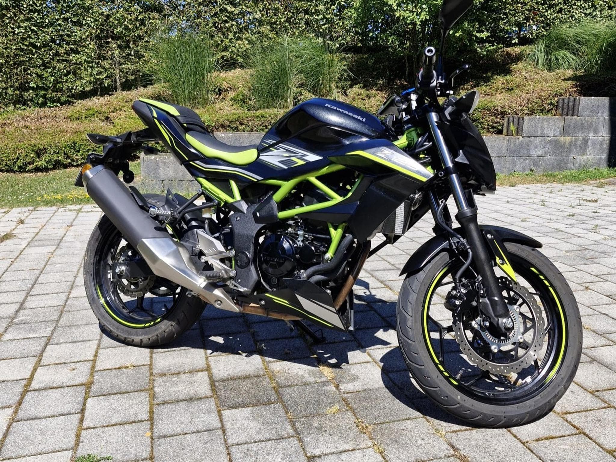Kawasaki Z Z125 (2019) - Photo 6