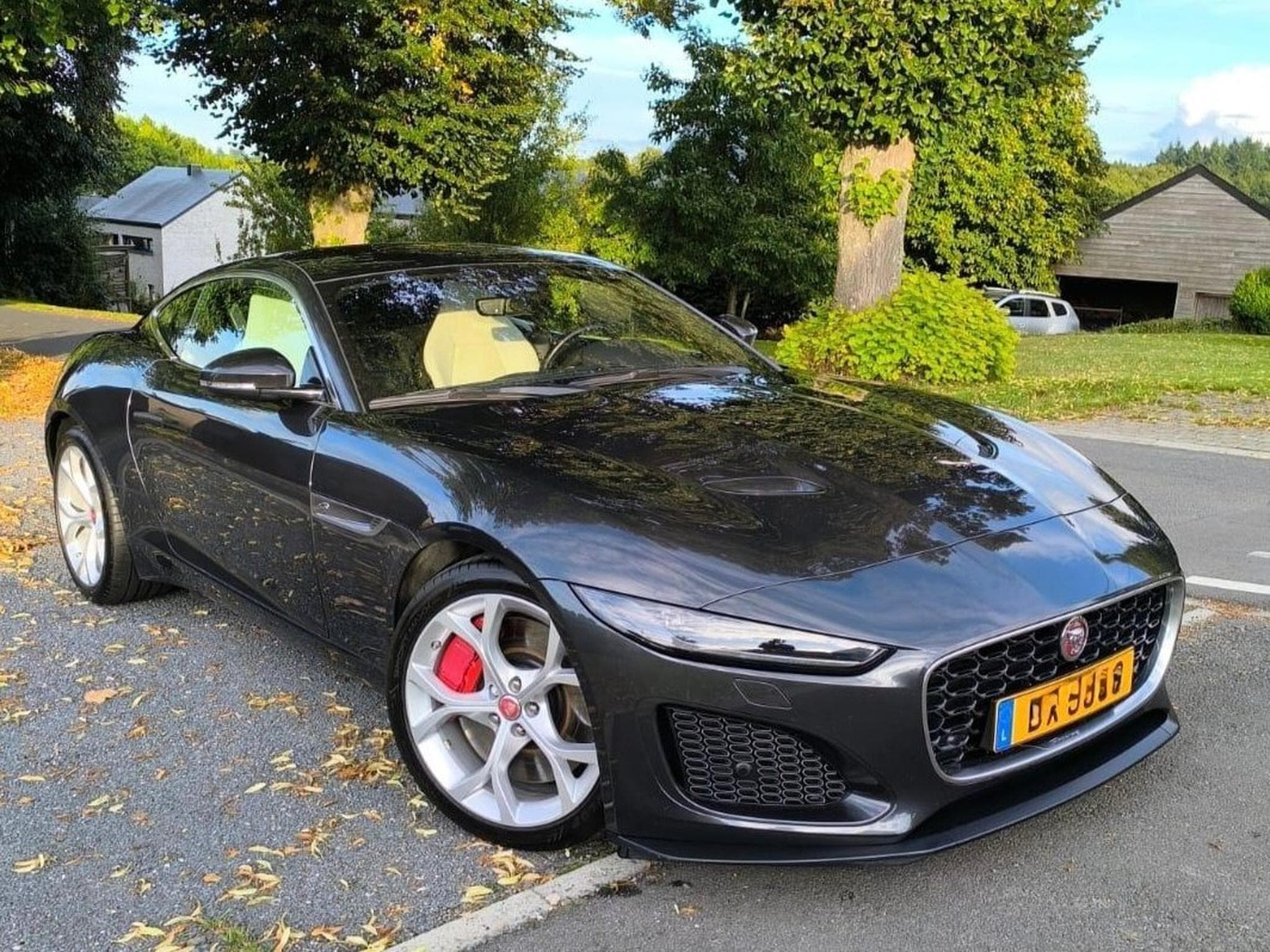 Jaguar F-Type Coupé P300 / Meridian / Pano / 19" (2021) - Photo 1