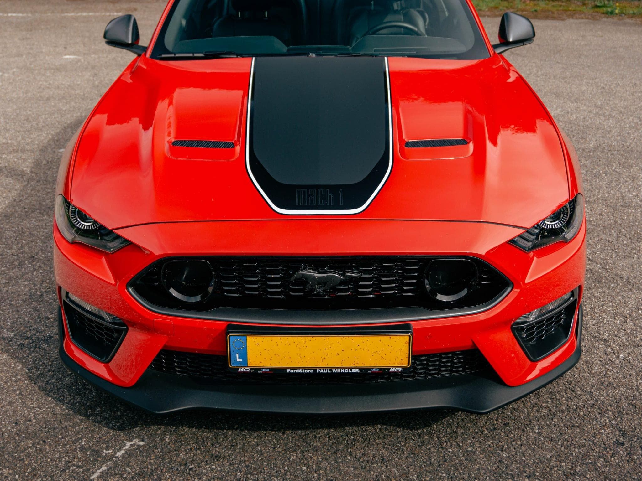 Ford Mustang Mach 1 (2021) - Photo 2