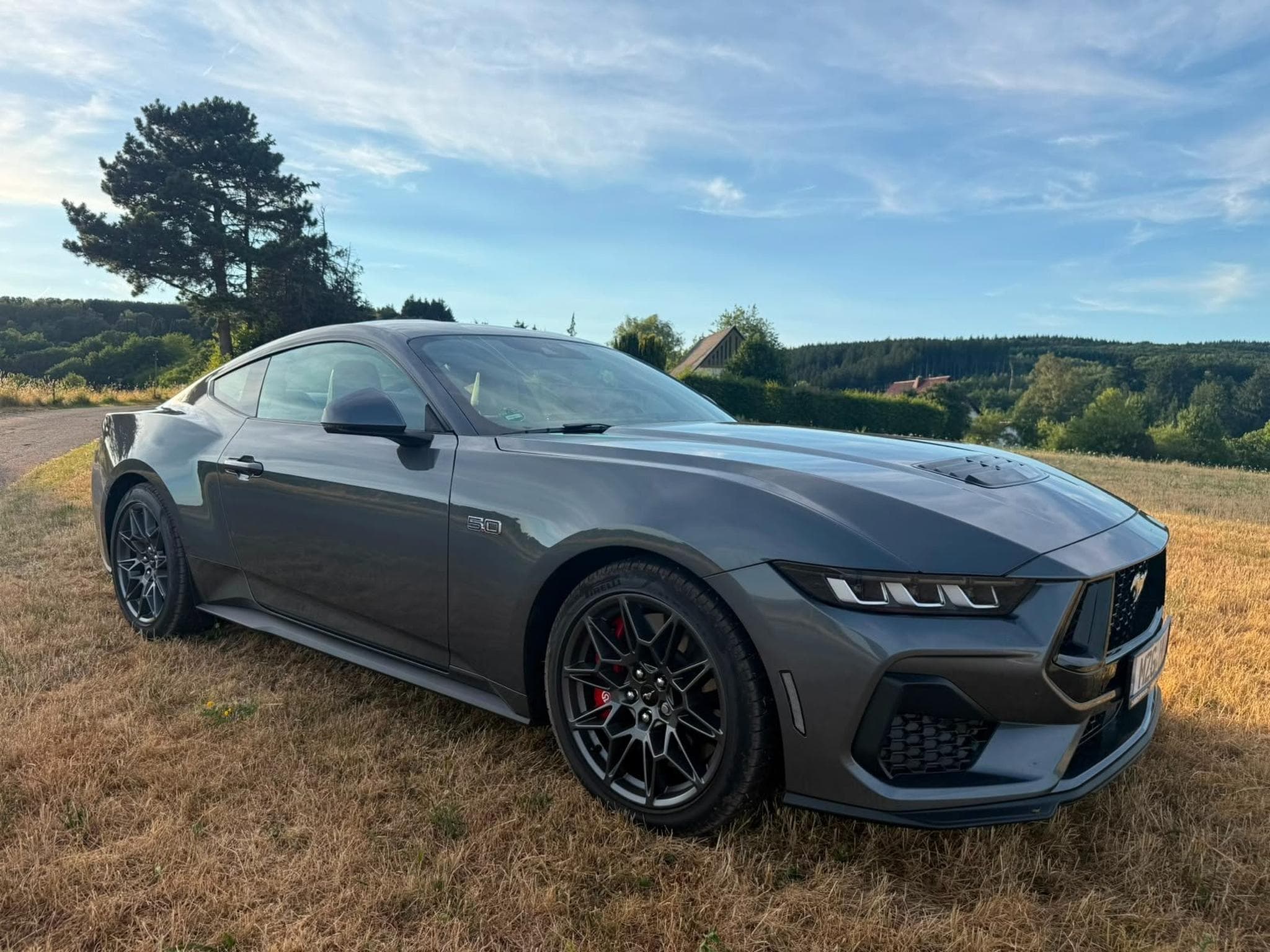 Ford Mustang Ford Mustang 5.0 GT Coupe, erst 2.984km (2025) - Photo 2
