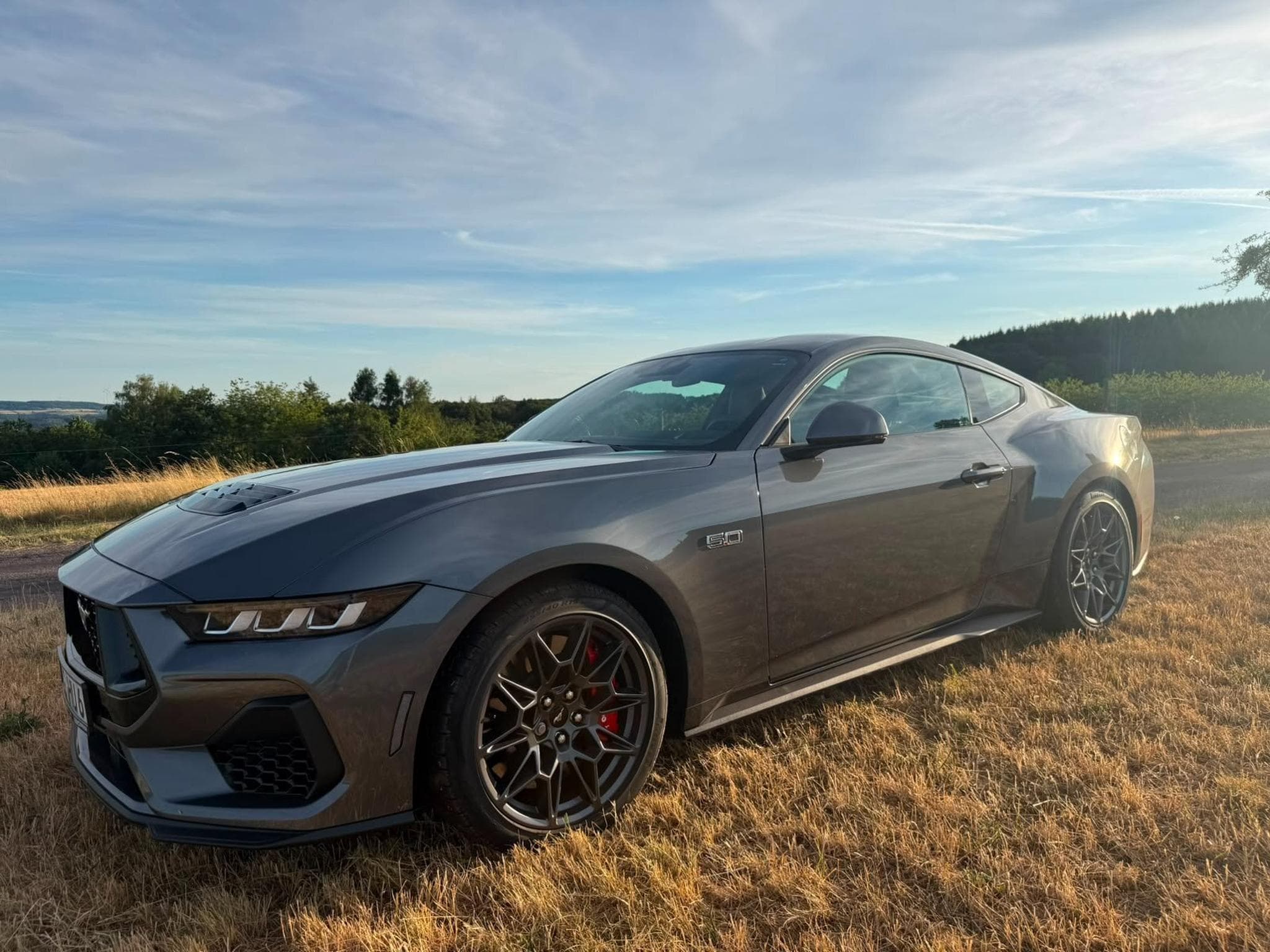 Ford Mustang Ford Mustang 5.0 GT Coupe, erst 2.984km (2025) - Photo 1