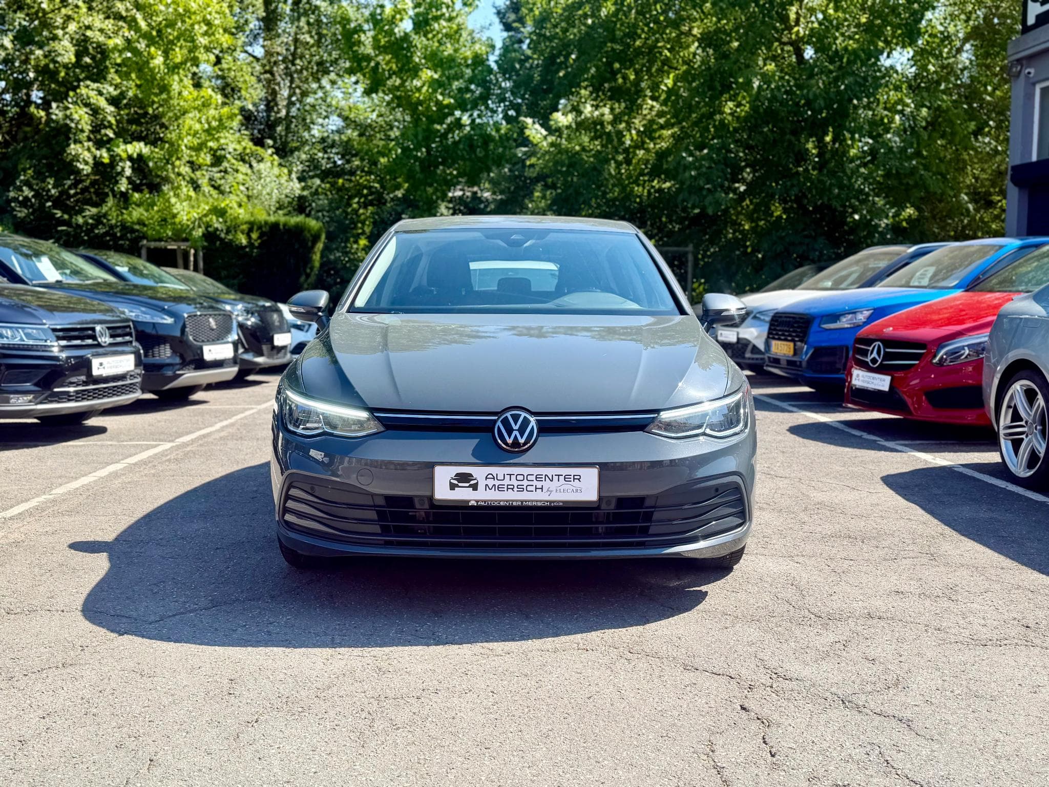 VW Golf VIII 1.0 eTSI 110 DSG7 Life NAVI/CAM/ACC (2023) - Photo 2
