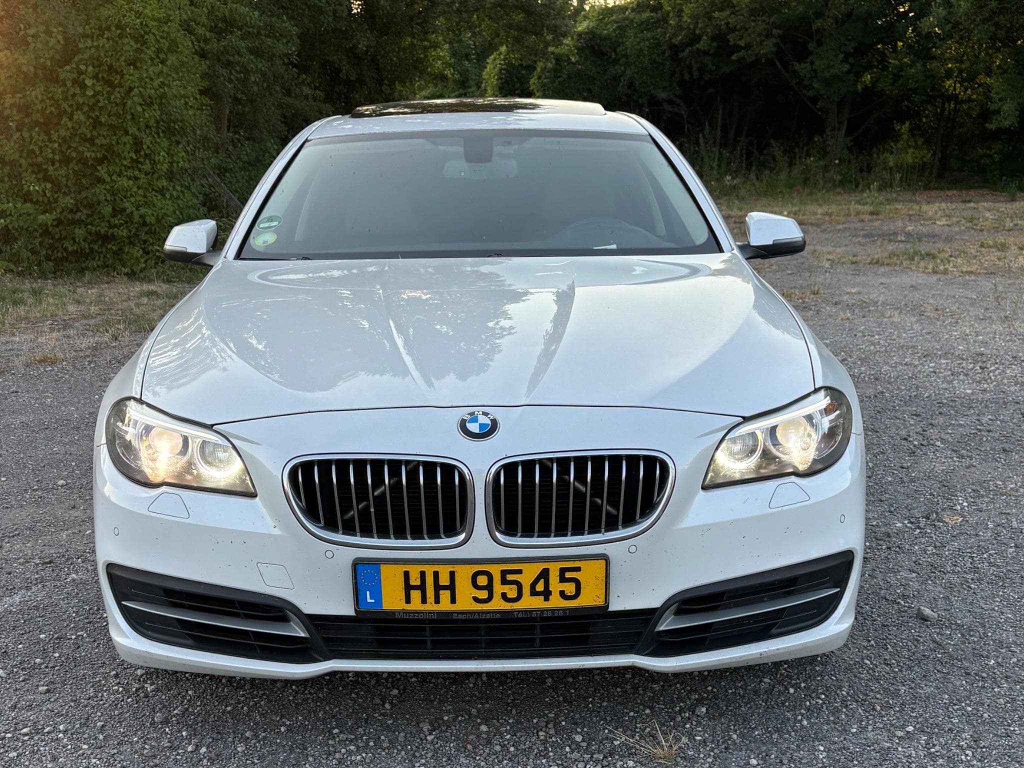 BMW 530 530 d (2014) - Photo 2