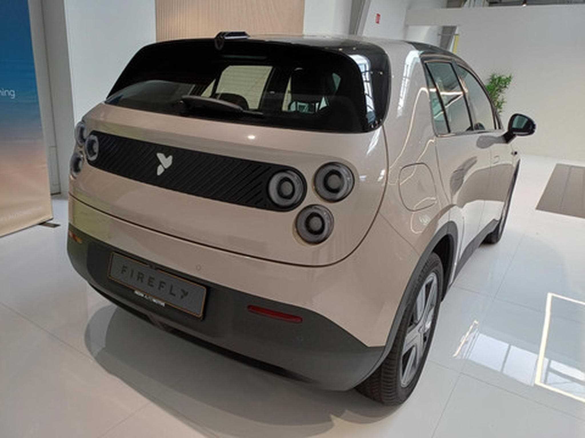 Firefly Select (2026) - Photo 3