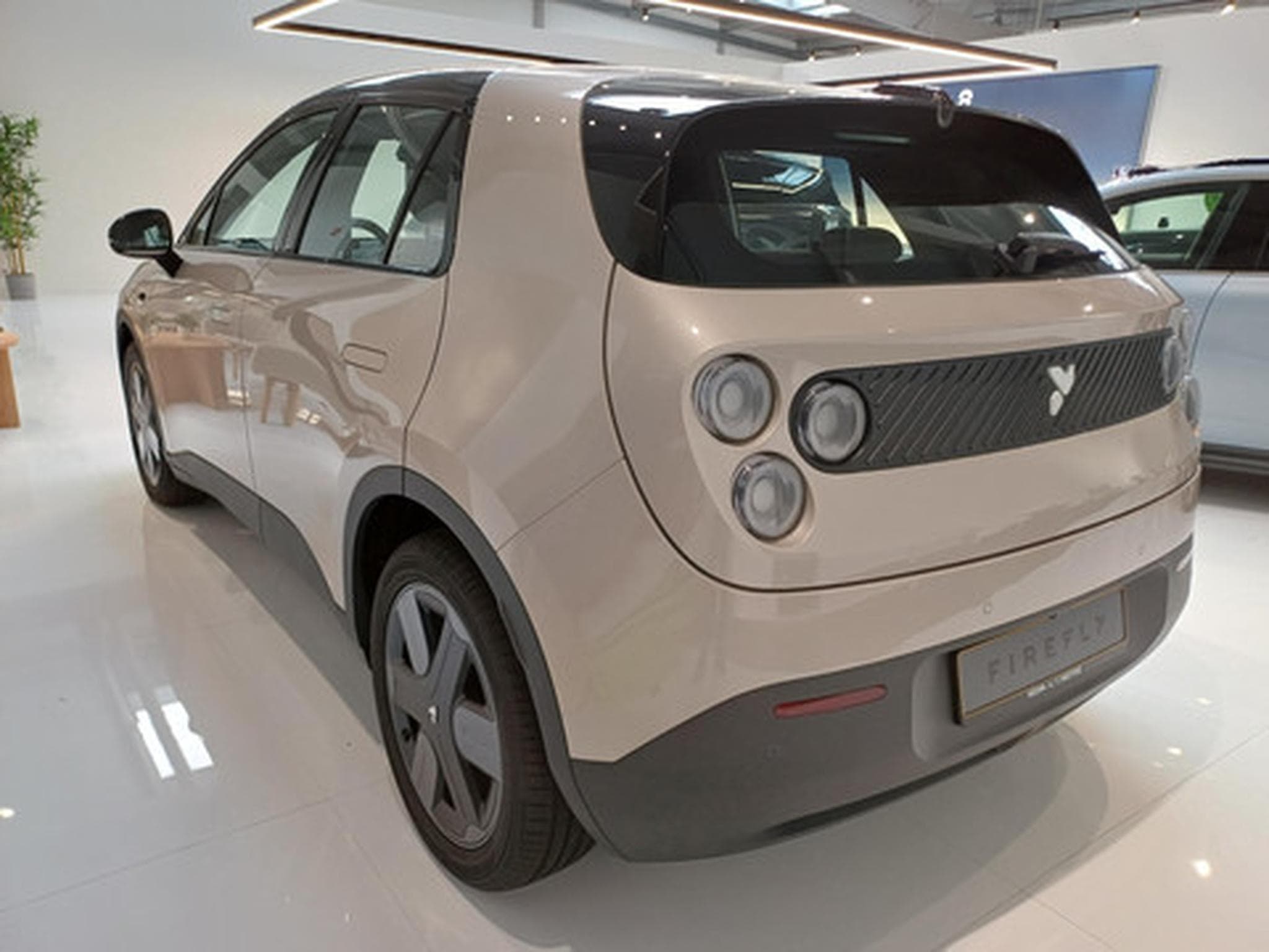 Firefly Select (2026) - Photo 4