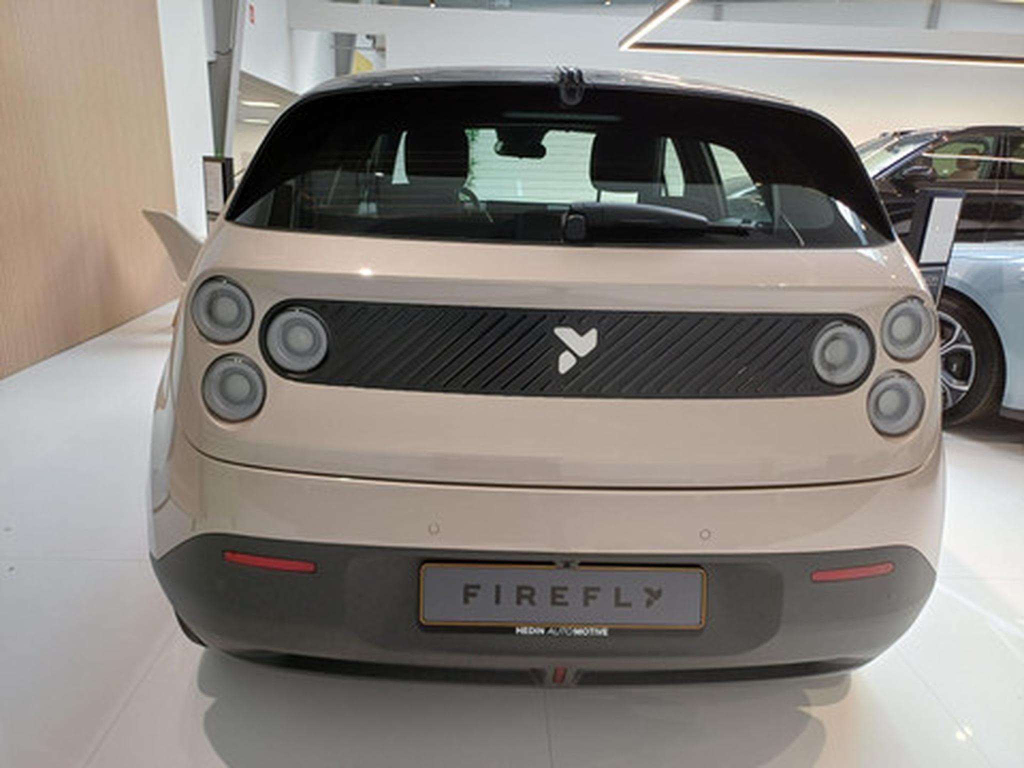 Firefly Select (2026) - Photo 5