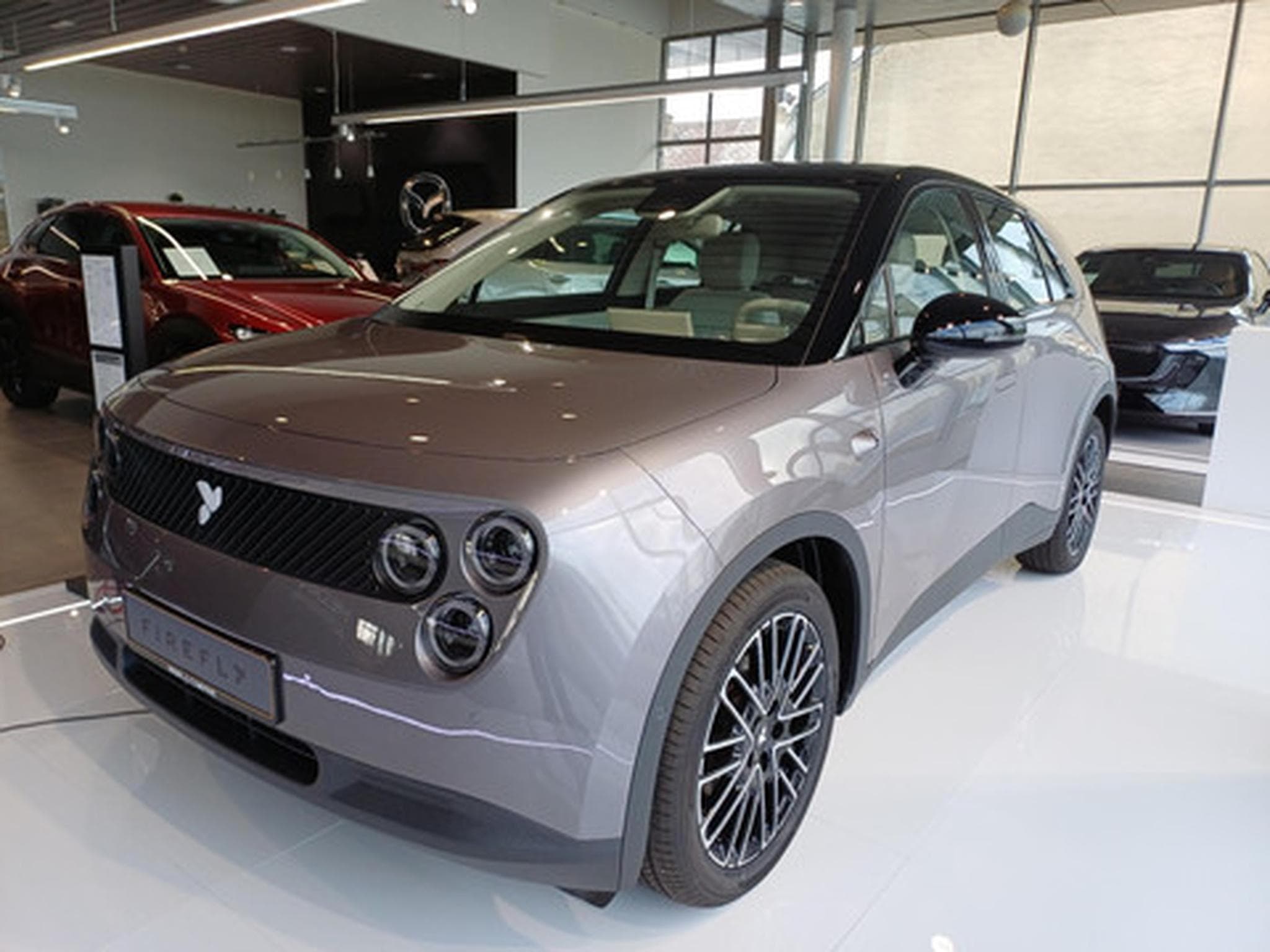 Firefly Comfort (2026) - Foto 1